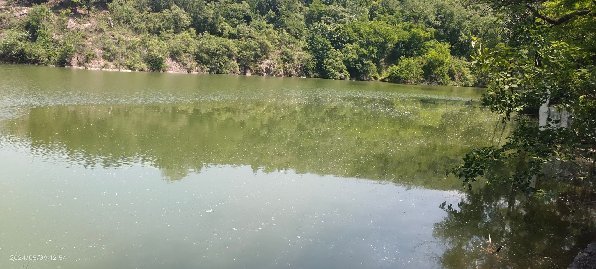 河南省双龙山省级森林公园旅行图片 1