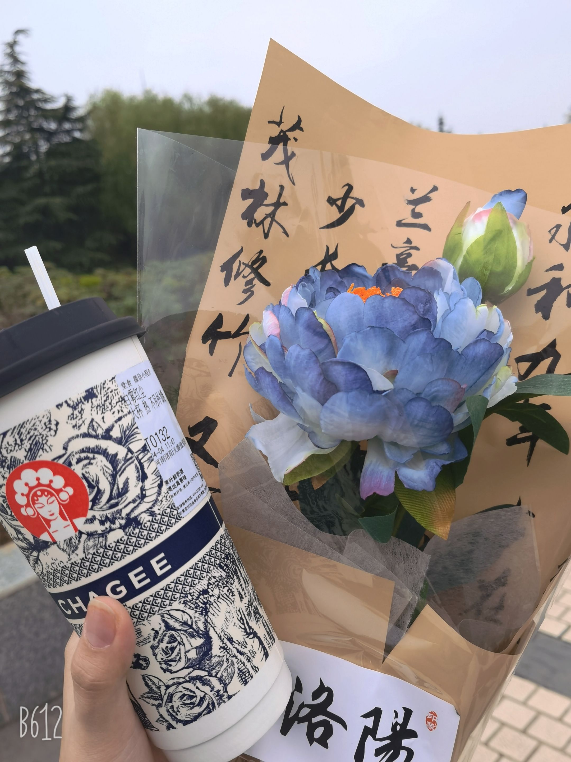 国家牡丹园旅行图片 3