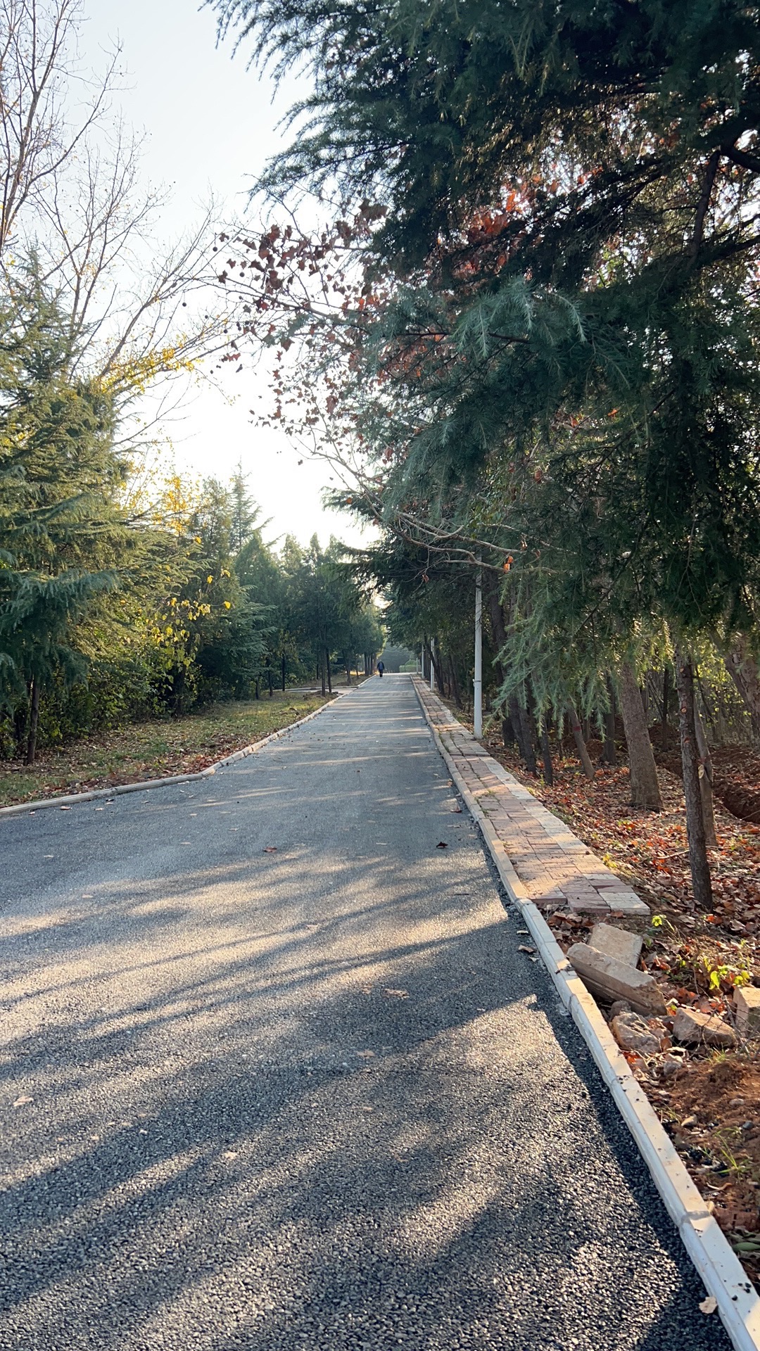 荆山森林公园旅行图片 2