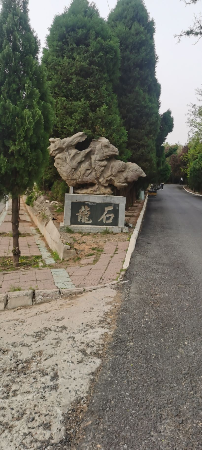 荆山森林公园旅行图片 3