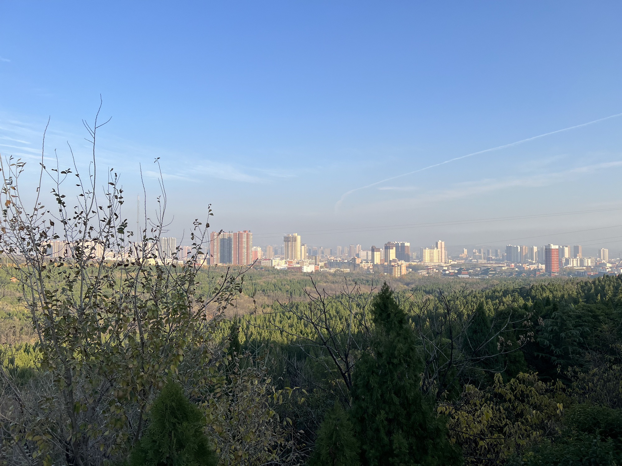 荆山森林公园旅行图片 1