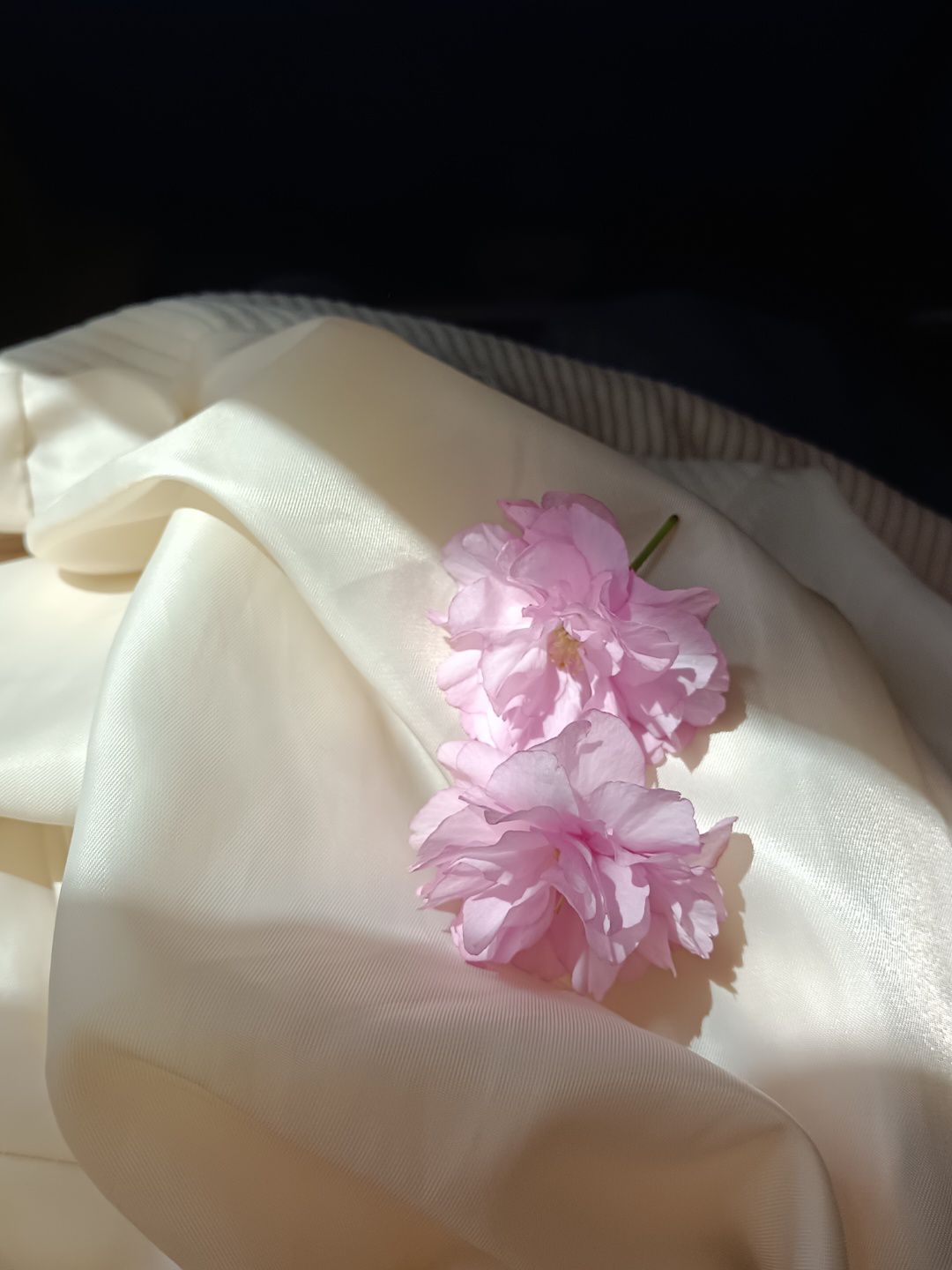 伊川西山植物园旅行图片 3