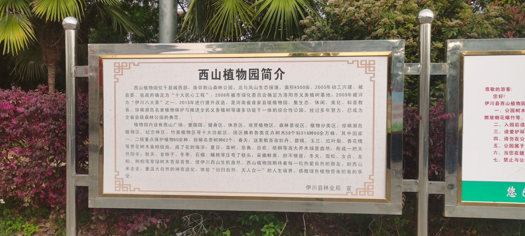 伊川西山植物园旅行图片 1