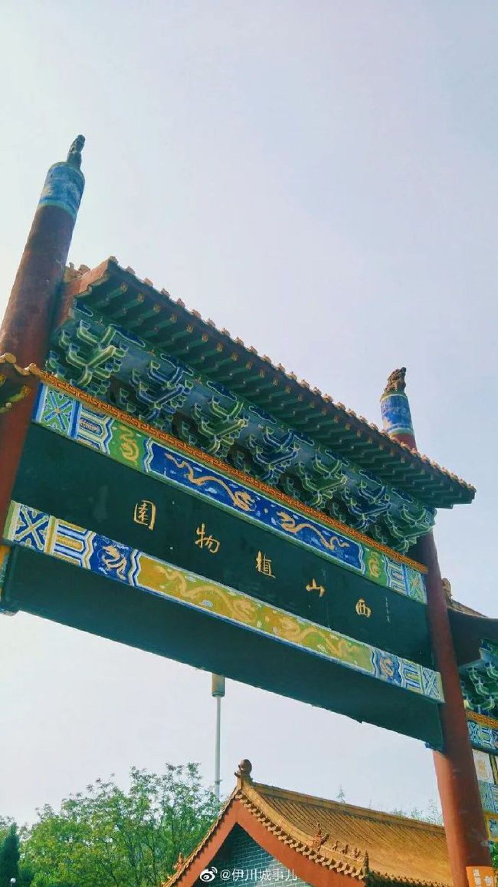 伊川西山植物园旅行图片 1