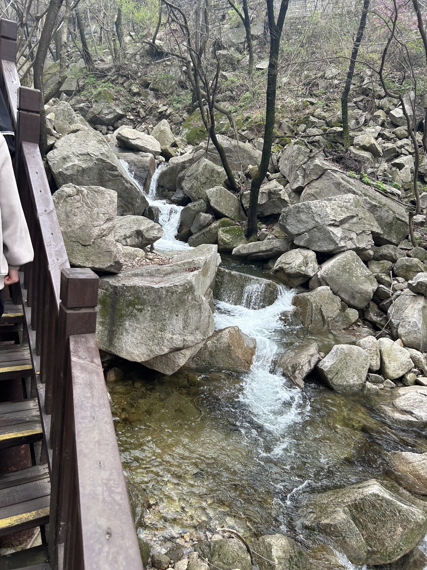 洛阳花果山国家森林公园旅行图片 3