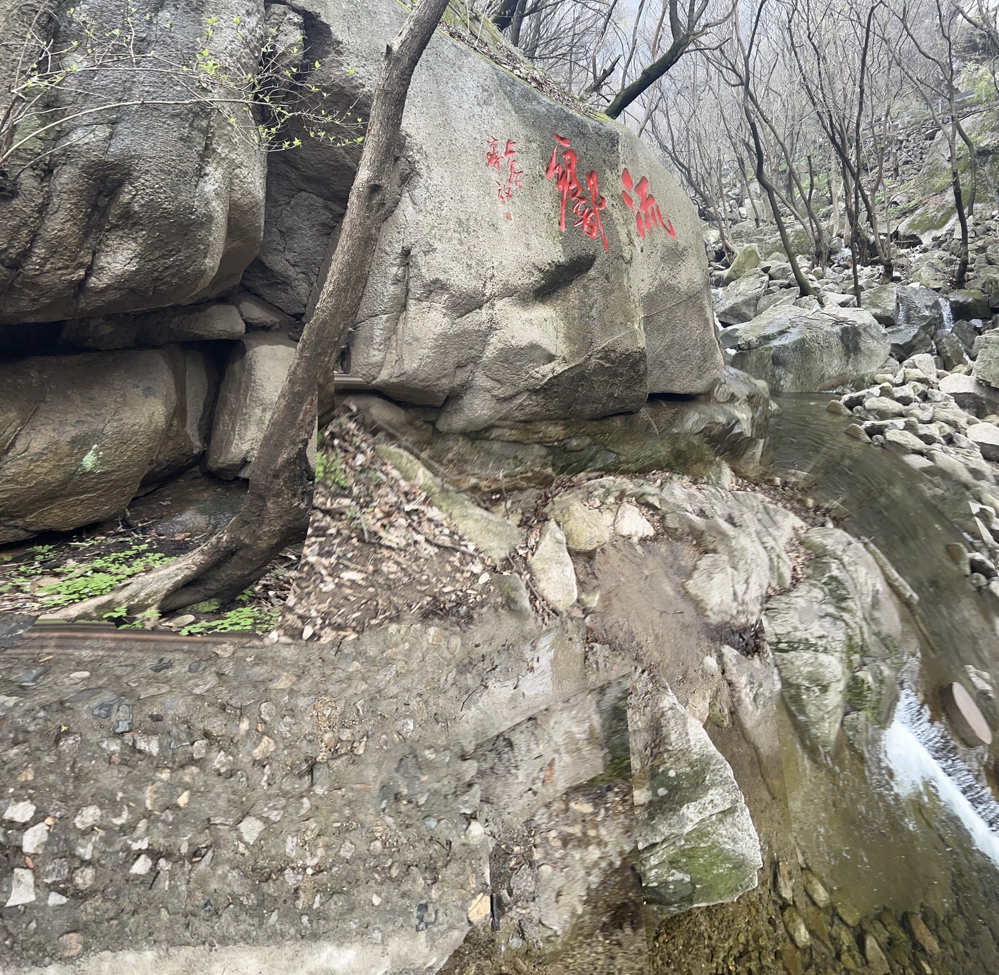 洛阳花果山国家森林公园旅行图片 2