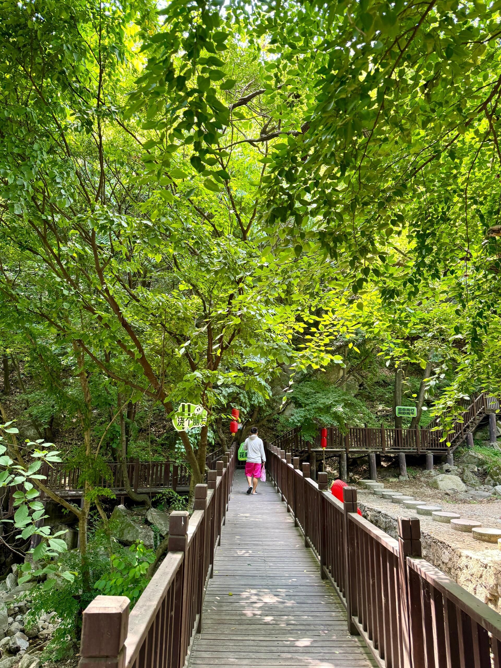 洛阳花果山国家森林公园旅行图片 2