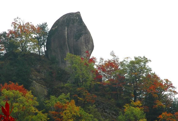 蟠桃山旅行图片 3