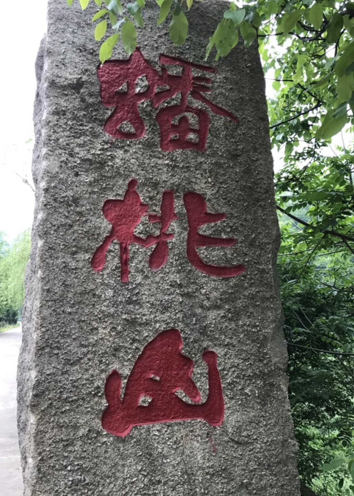 蟠桃山旅行图片 3