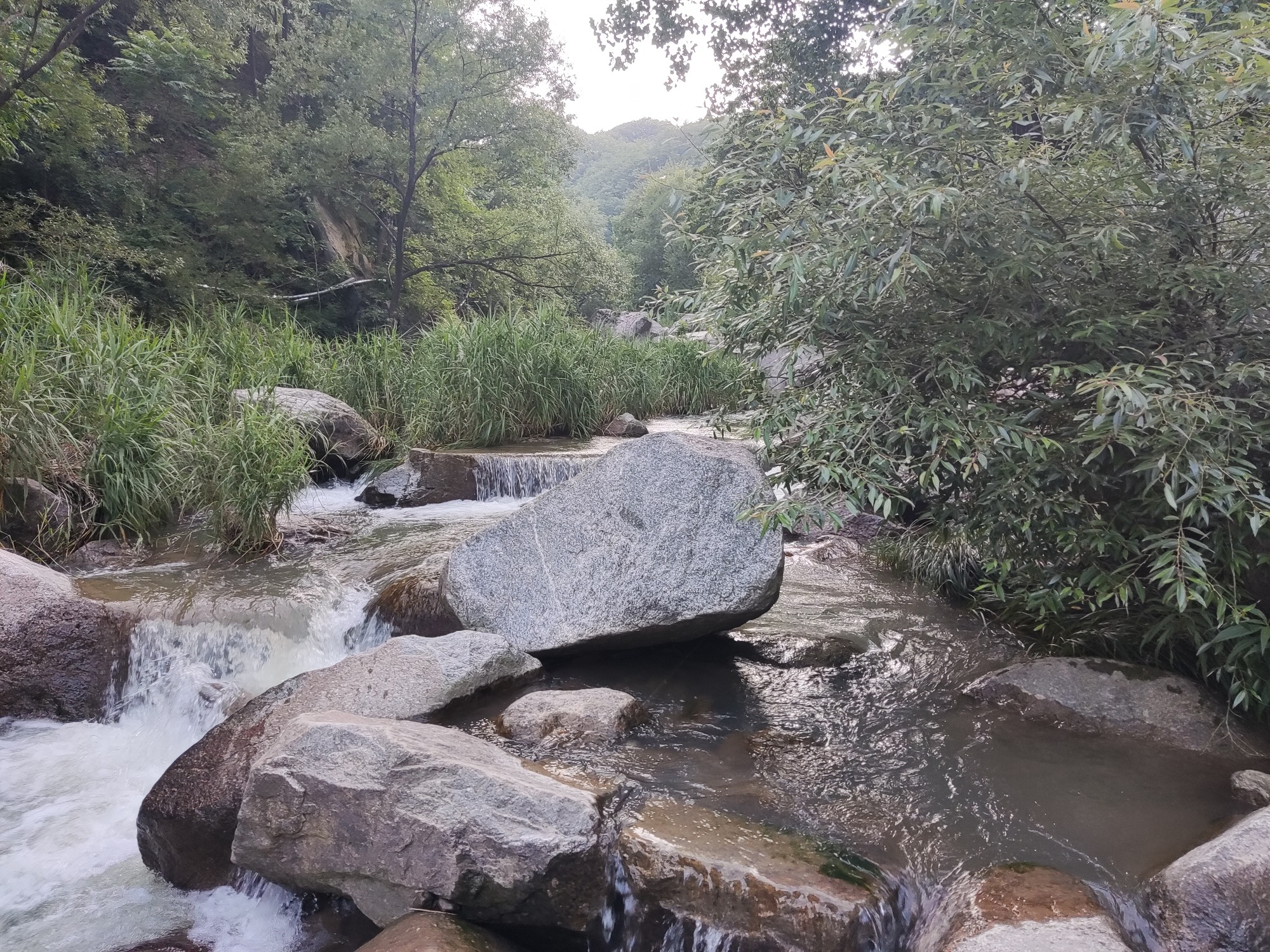 蟠桃山旅行图片 2