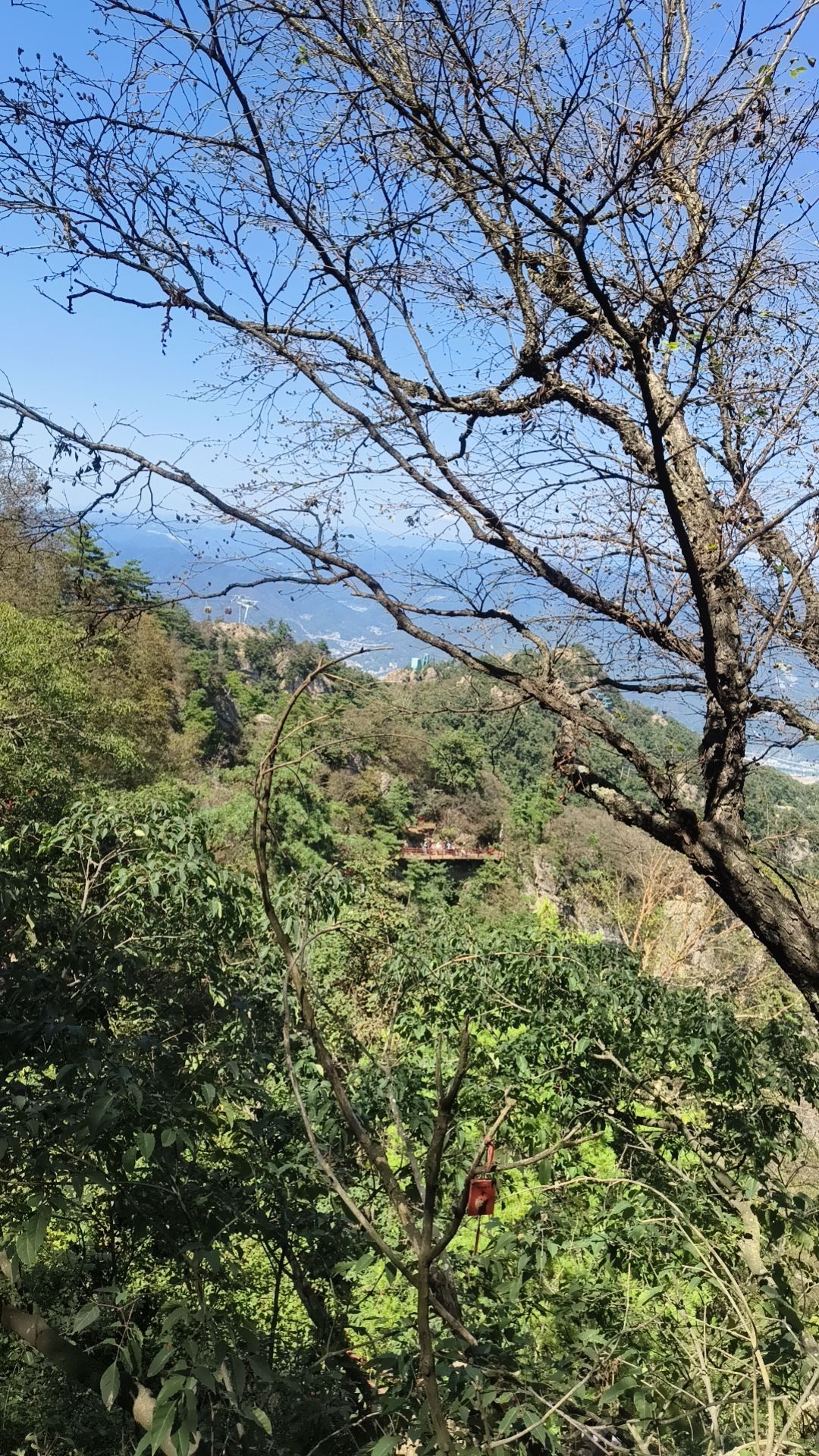 老君山风景名胜区旅行图片 2