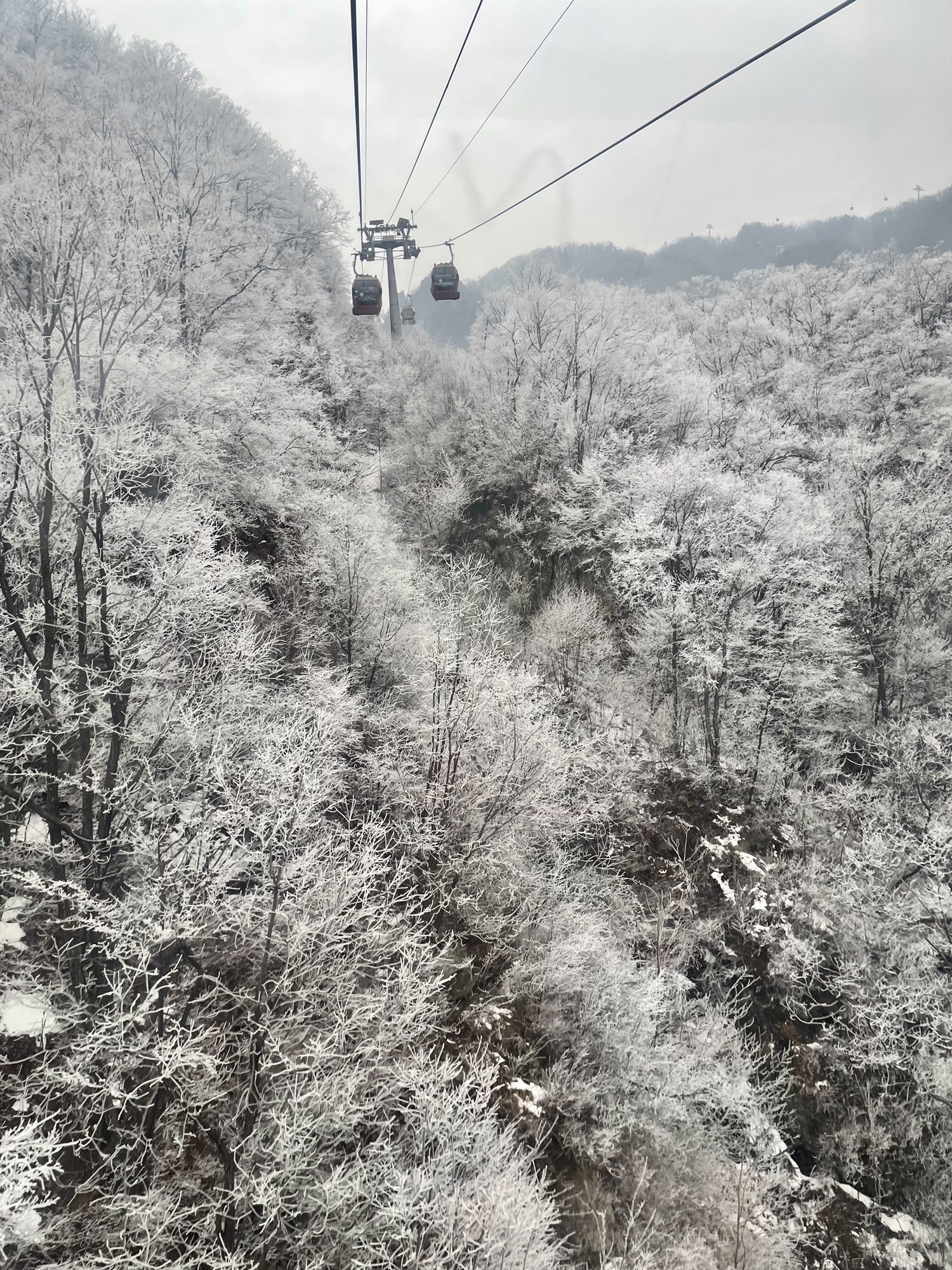 老君山风景名胜区旅行图片 3