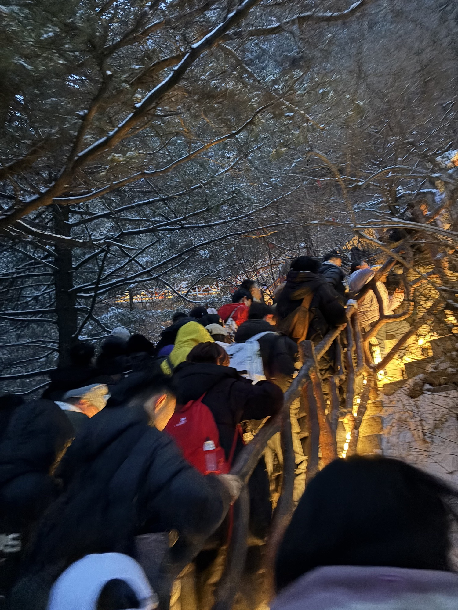 老君山风景名胜区旅行图片 3