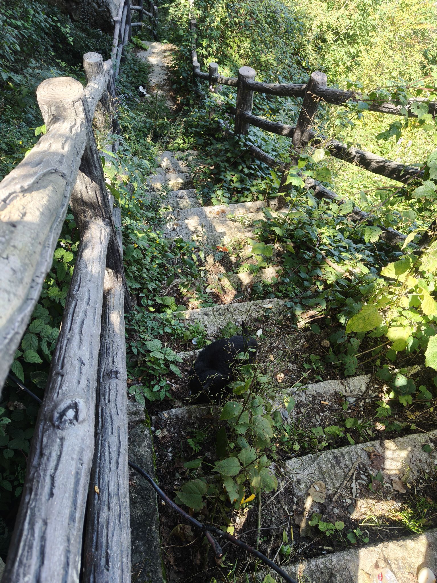 老君山风景名胜区旅行图片 3