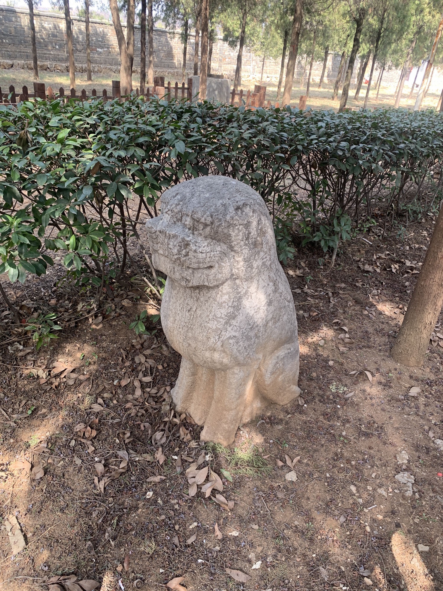 邵夫子墓旅行图片 3