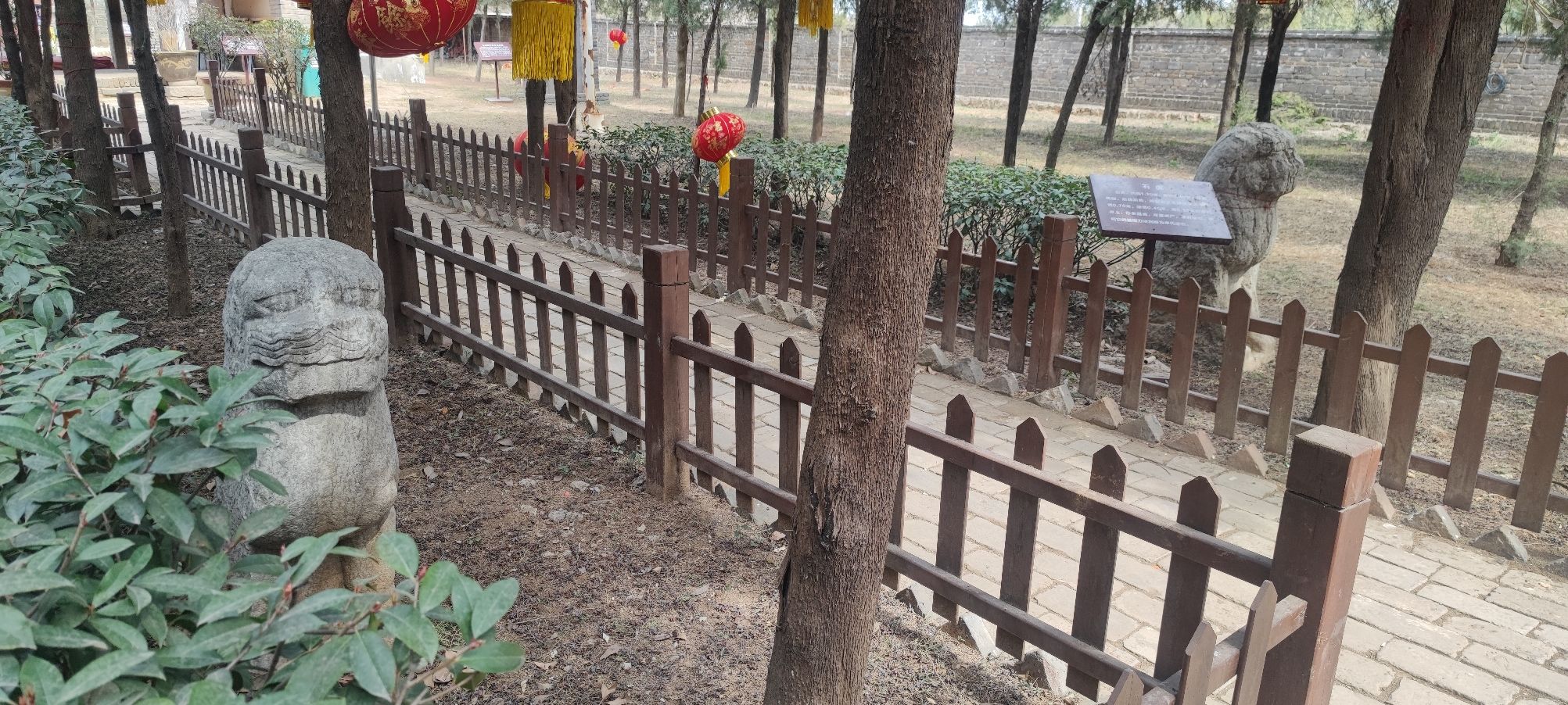 邵夫子墓旅行图片 3