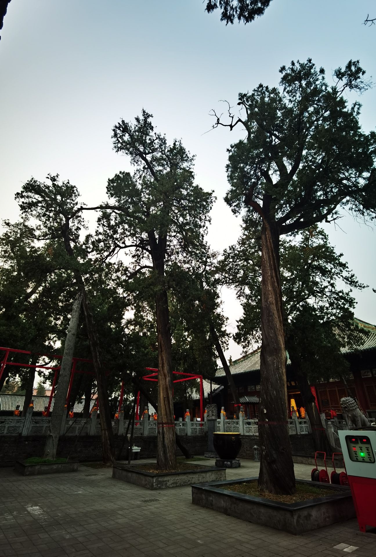 关林景区旅行图片 3