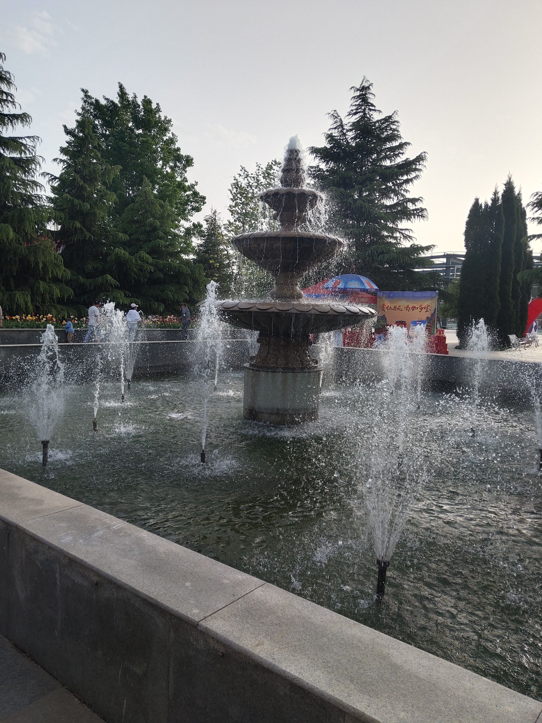 洛阳郁金香牡丹园旅行图片 3