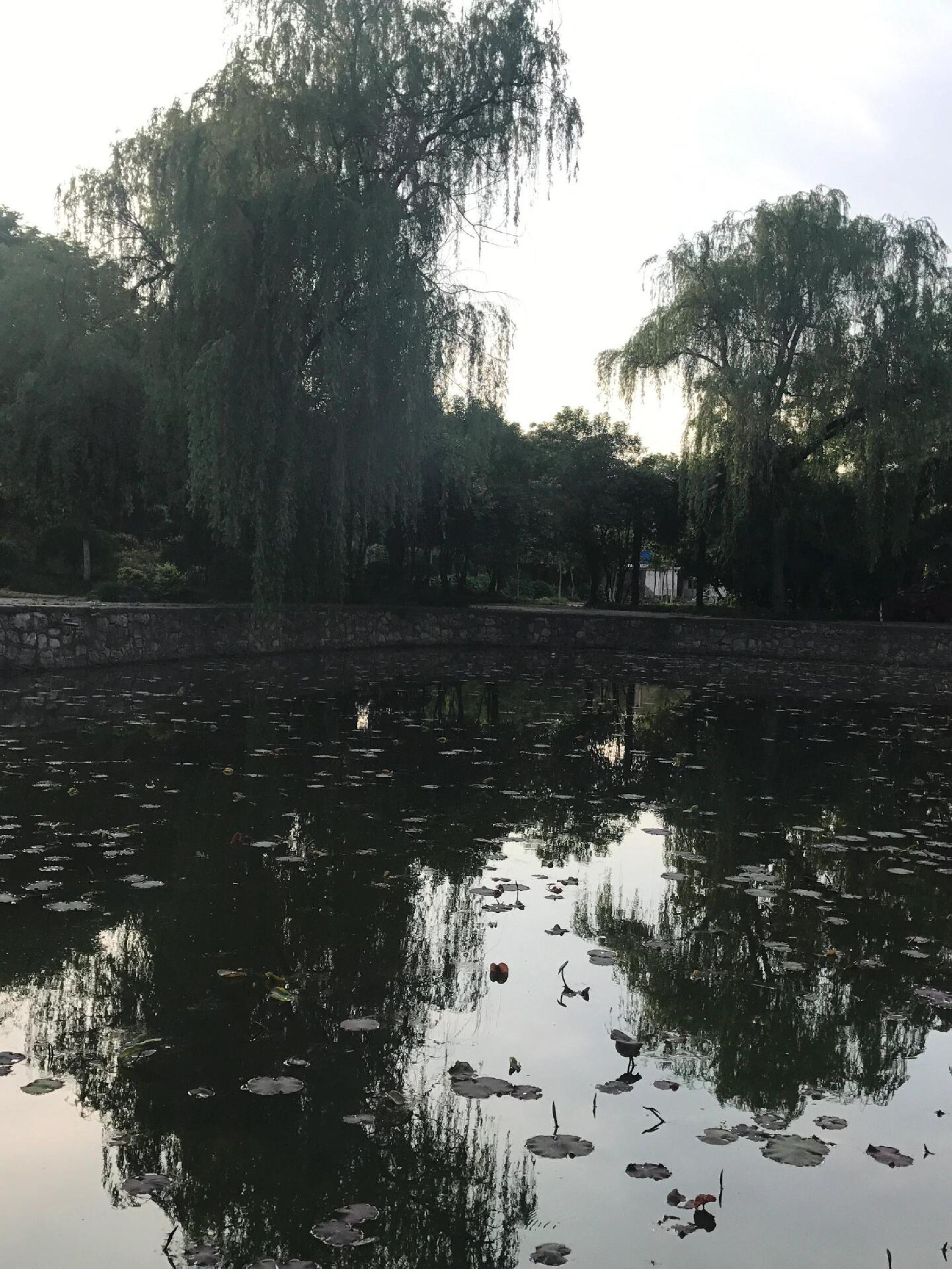 南关公园旅行图片 1