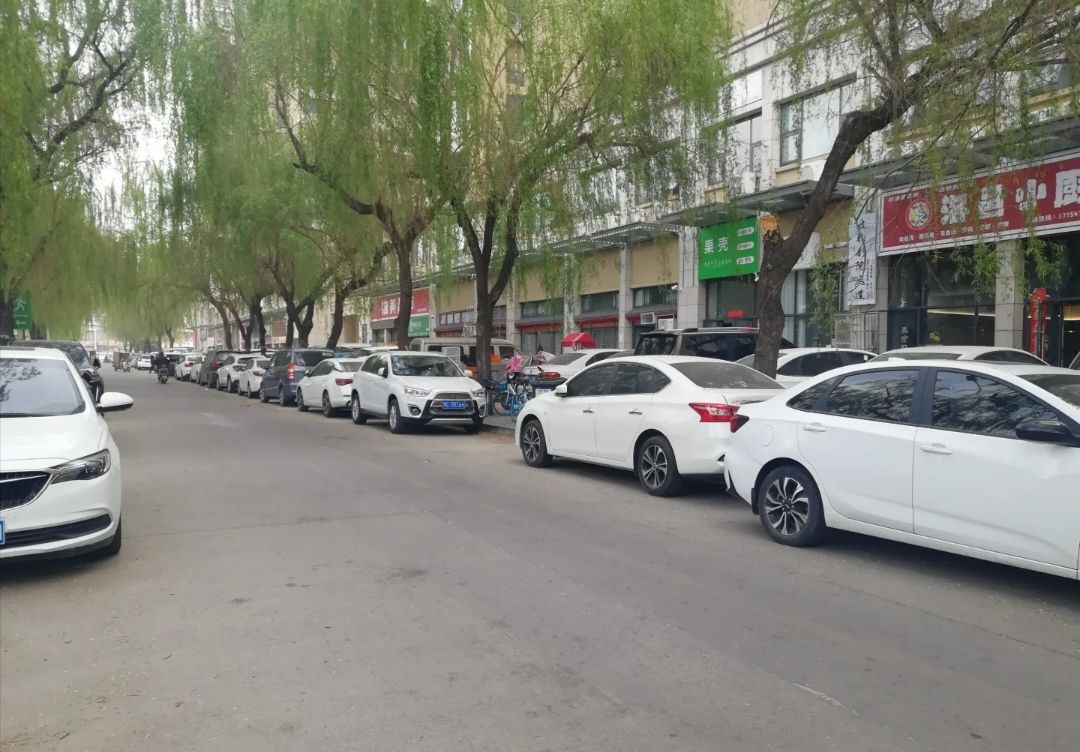 南关公园旅行图片 3
