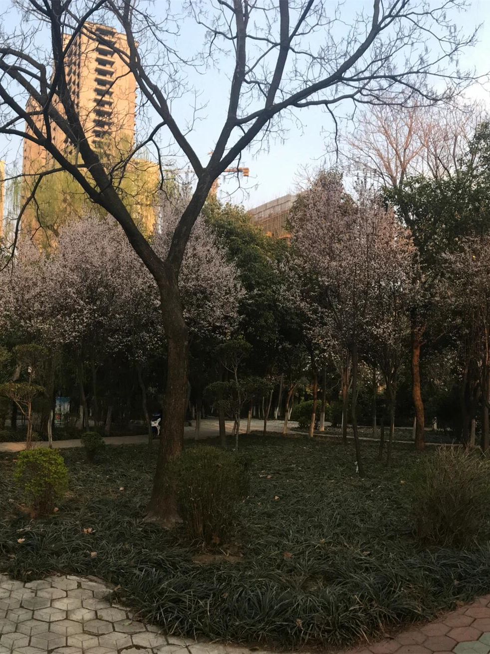 南关公园旅行图片 2