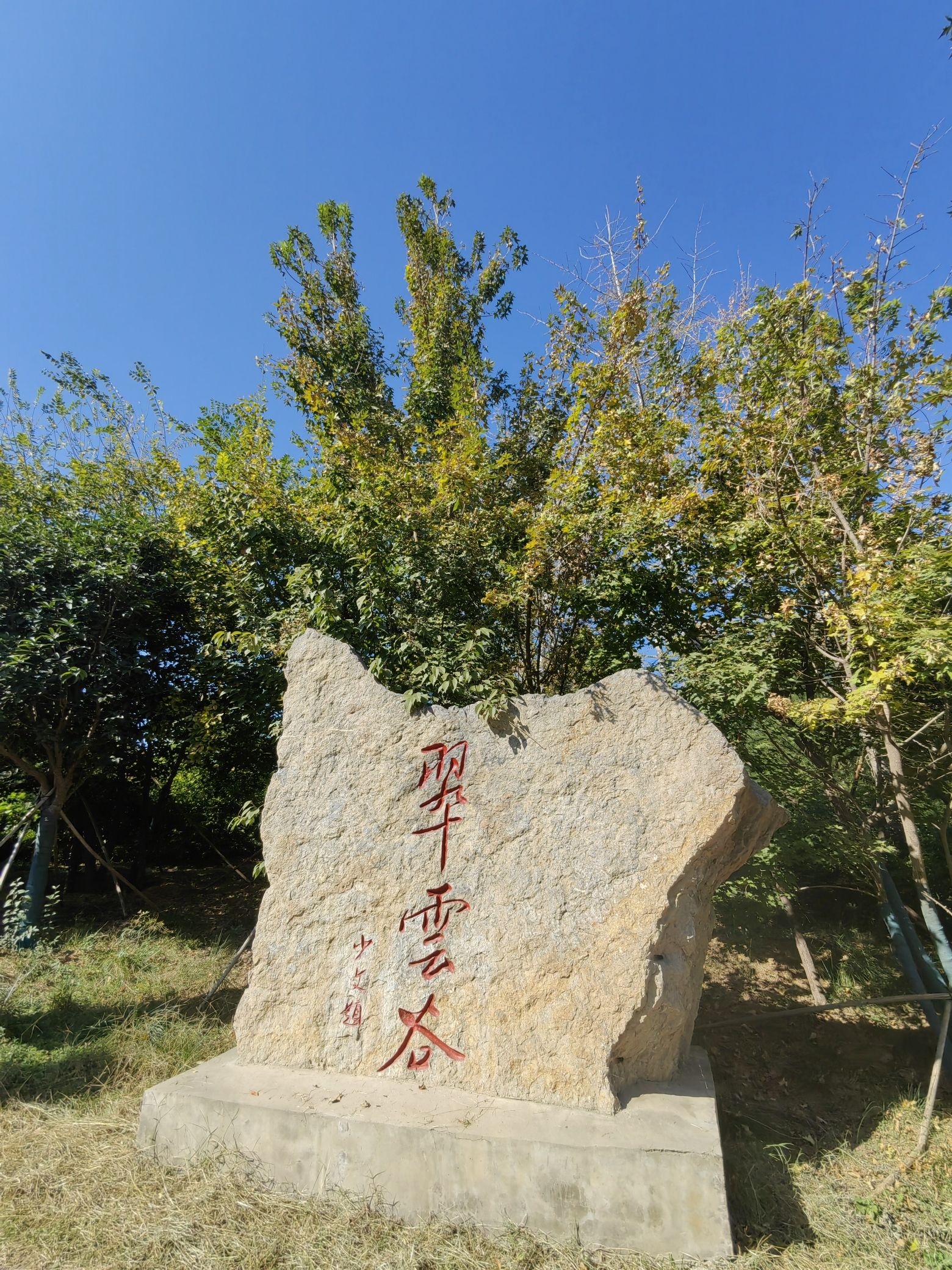 翠云峰森林公园旅行图片 2