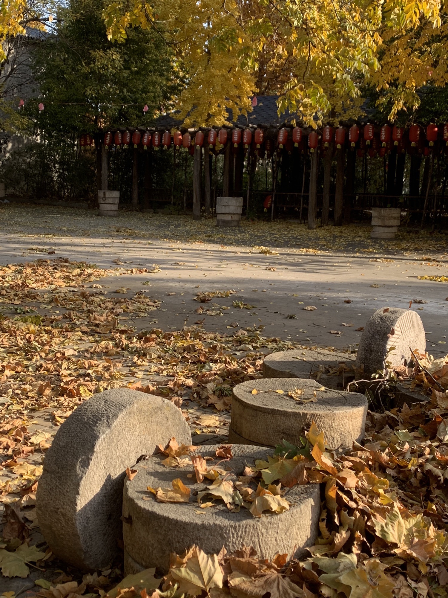 翠云峰森林公园旅行图片 1