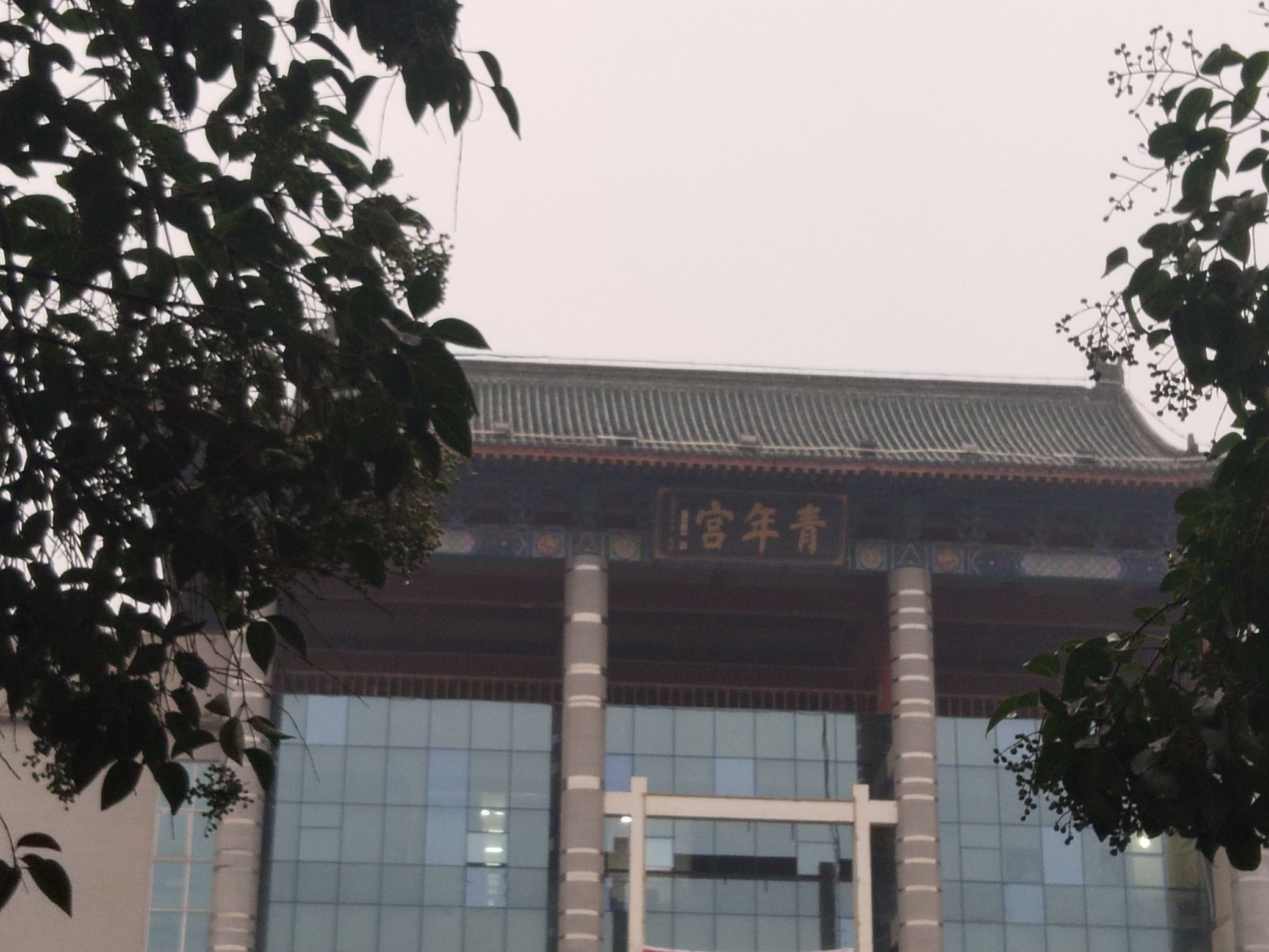 青年宫广场旅行图片 2