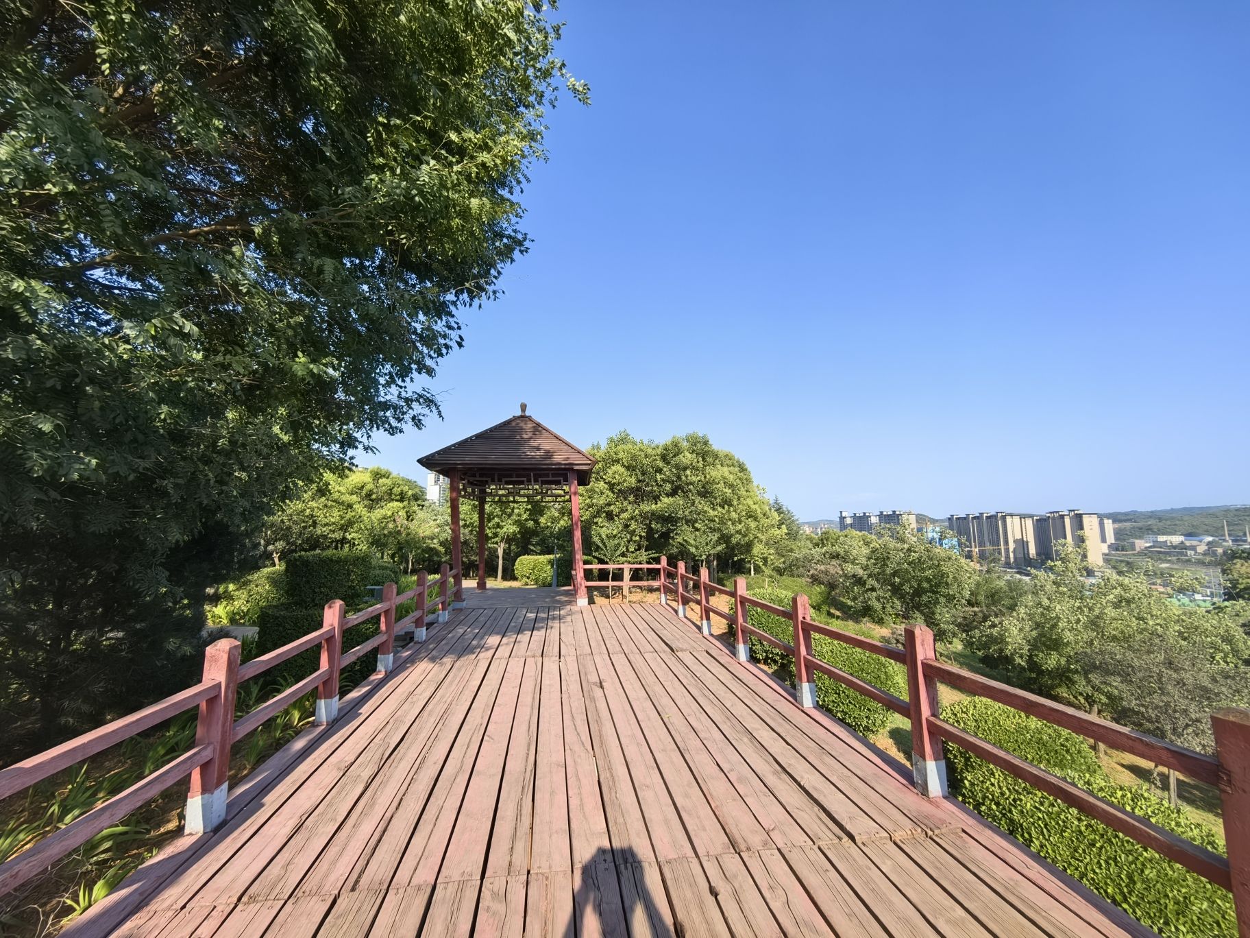 世纪公园旅行图片 1