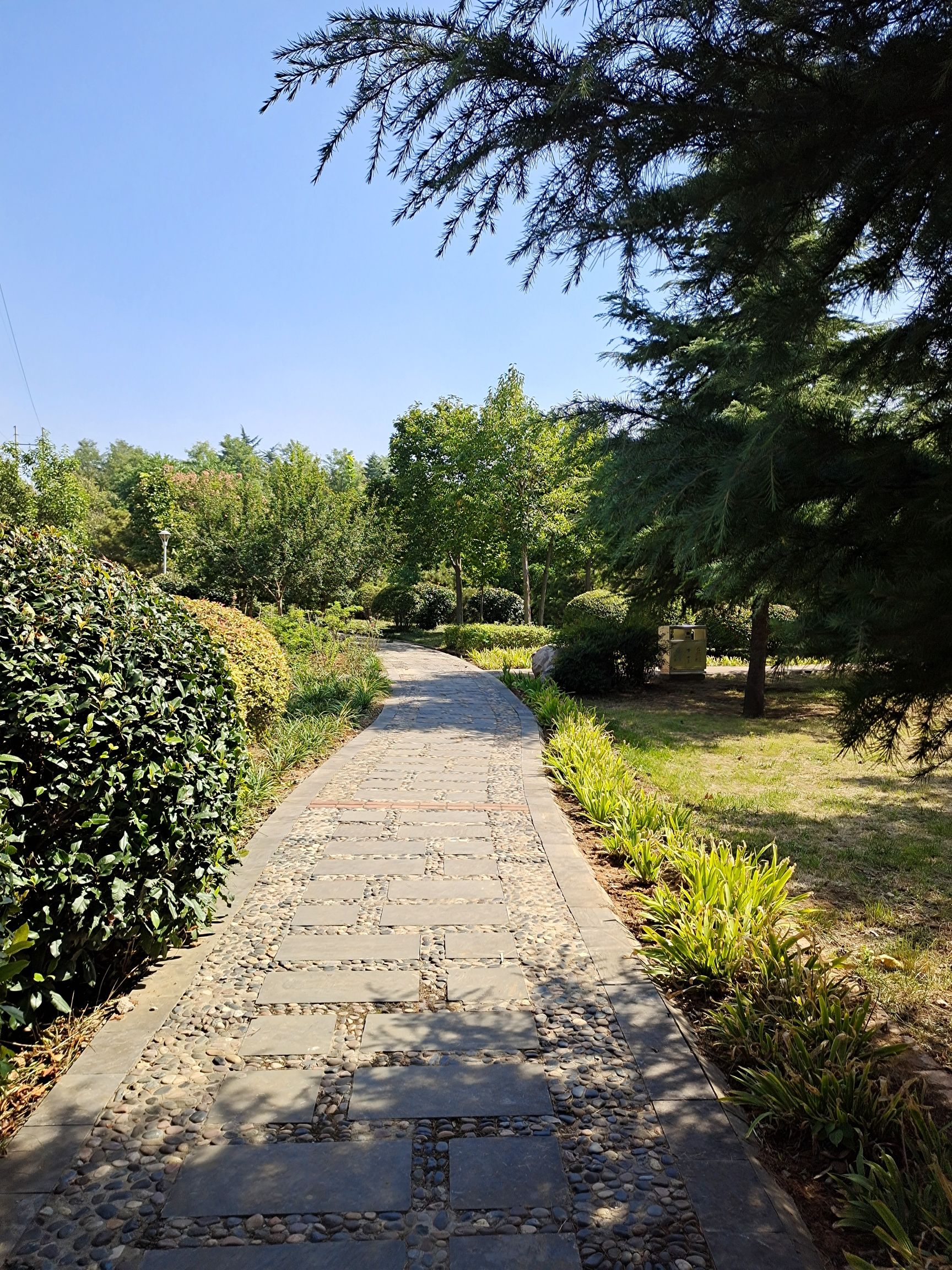 世纪公园旅行图片 1