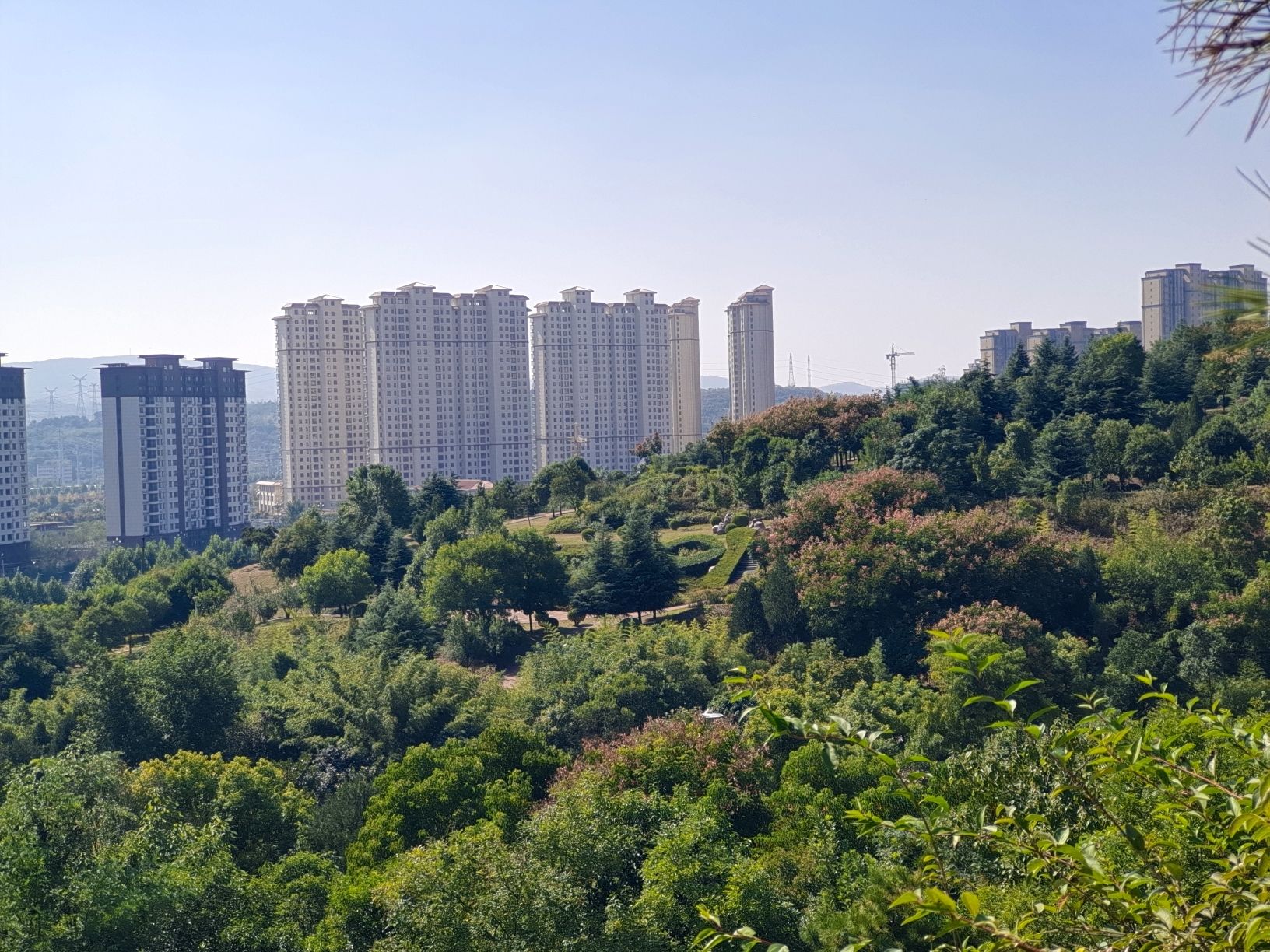 世纪公园旅行图片 2