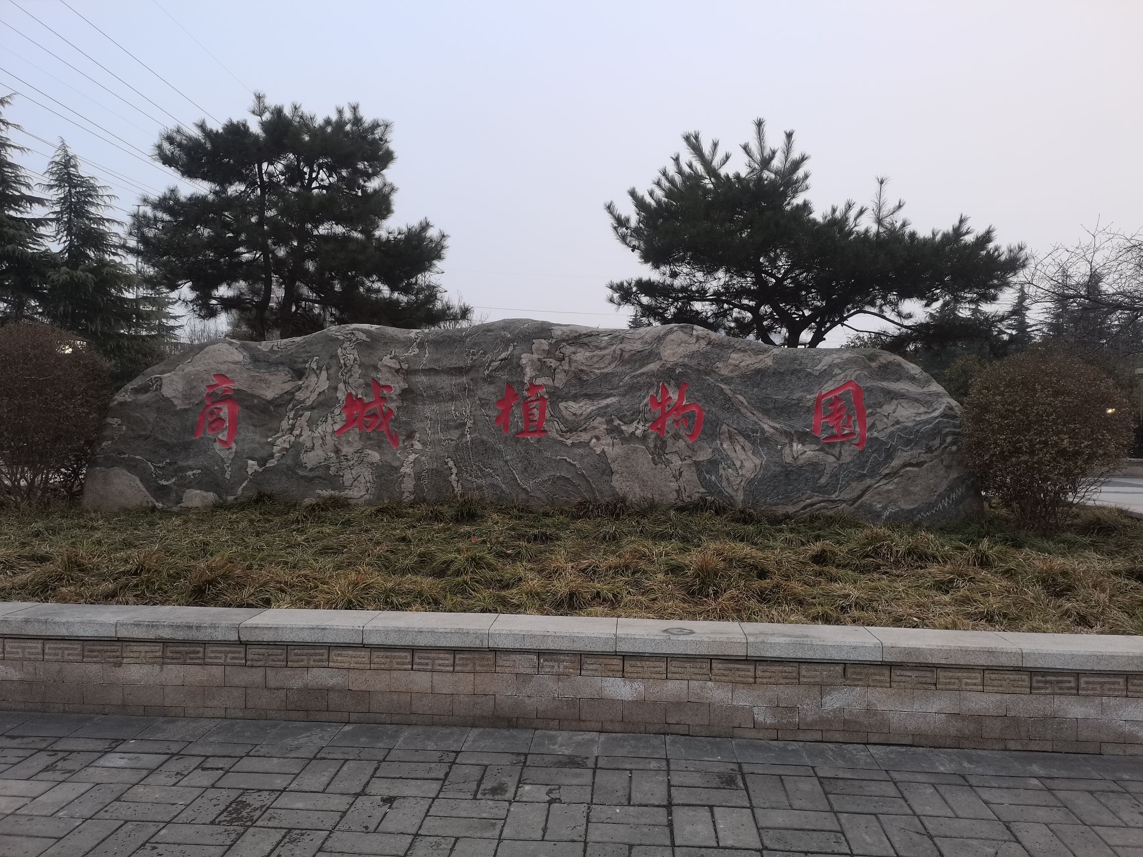 偃师区商城植物园旅行图片 1