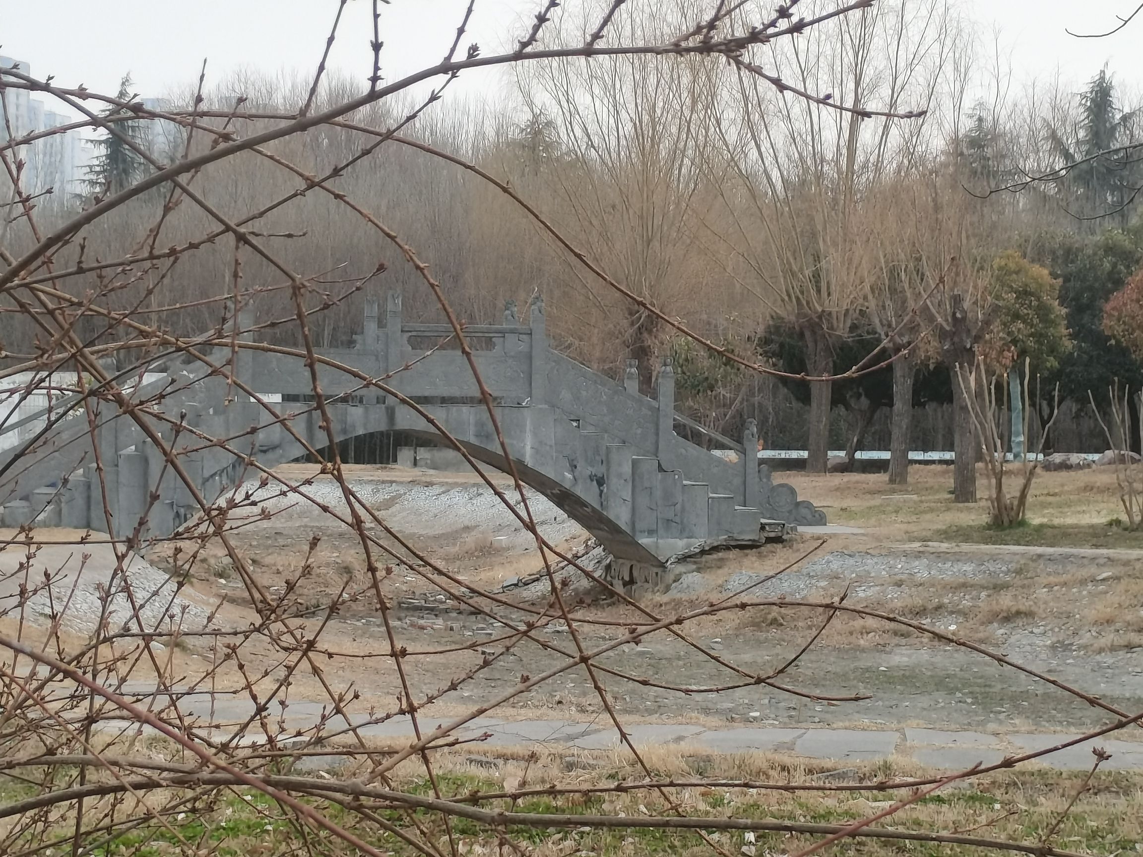 偃师区商城植物园旅行图片 3
