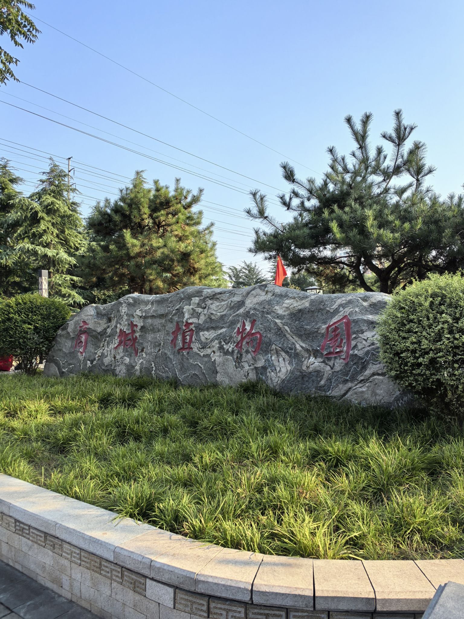 偃师区商城植物园旅行图片 1