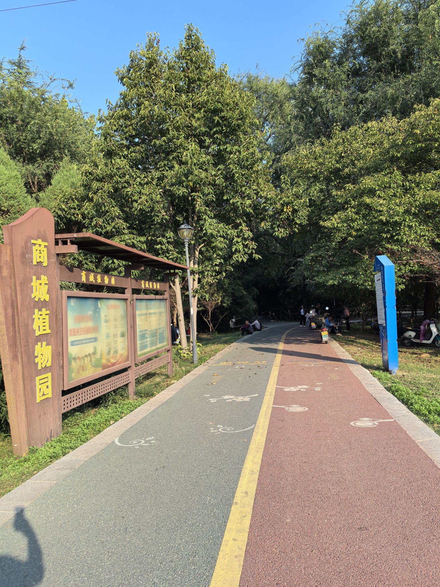 偃师区商城植物园旅行图片 3