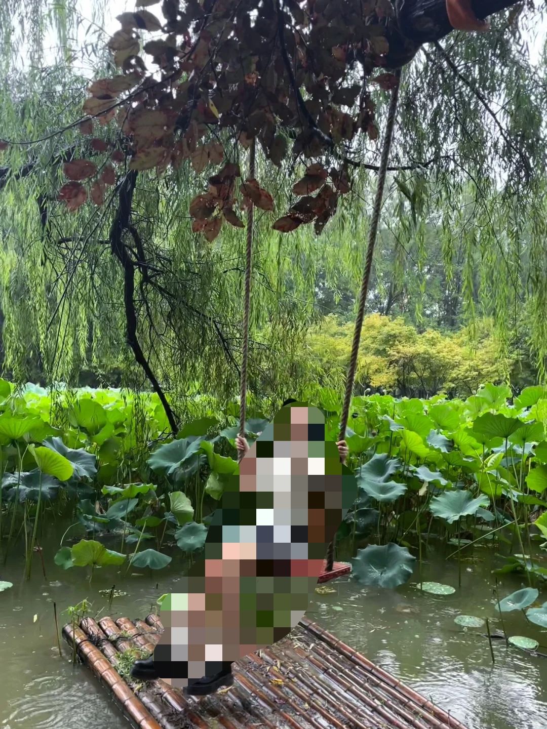 隋唐城遗址植物园旅行图片 3