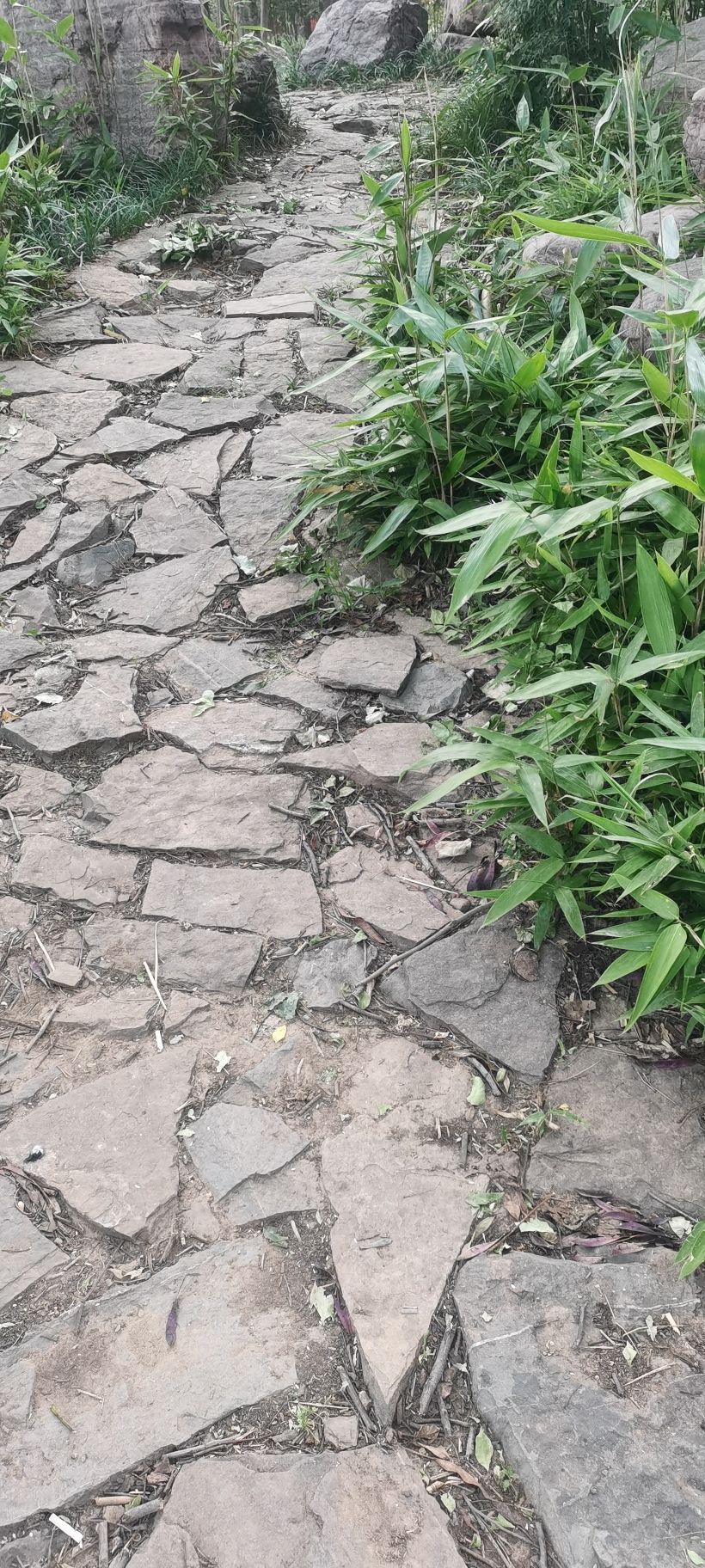 隋唐城遗址植物园旅行图片 3