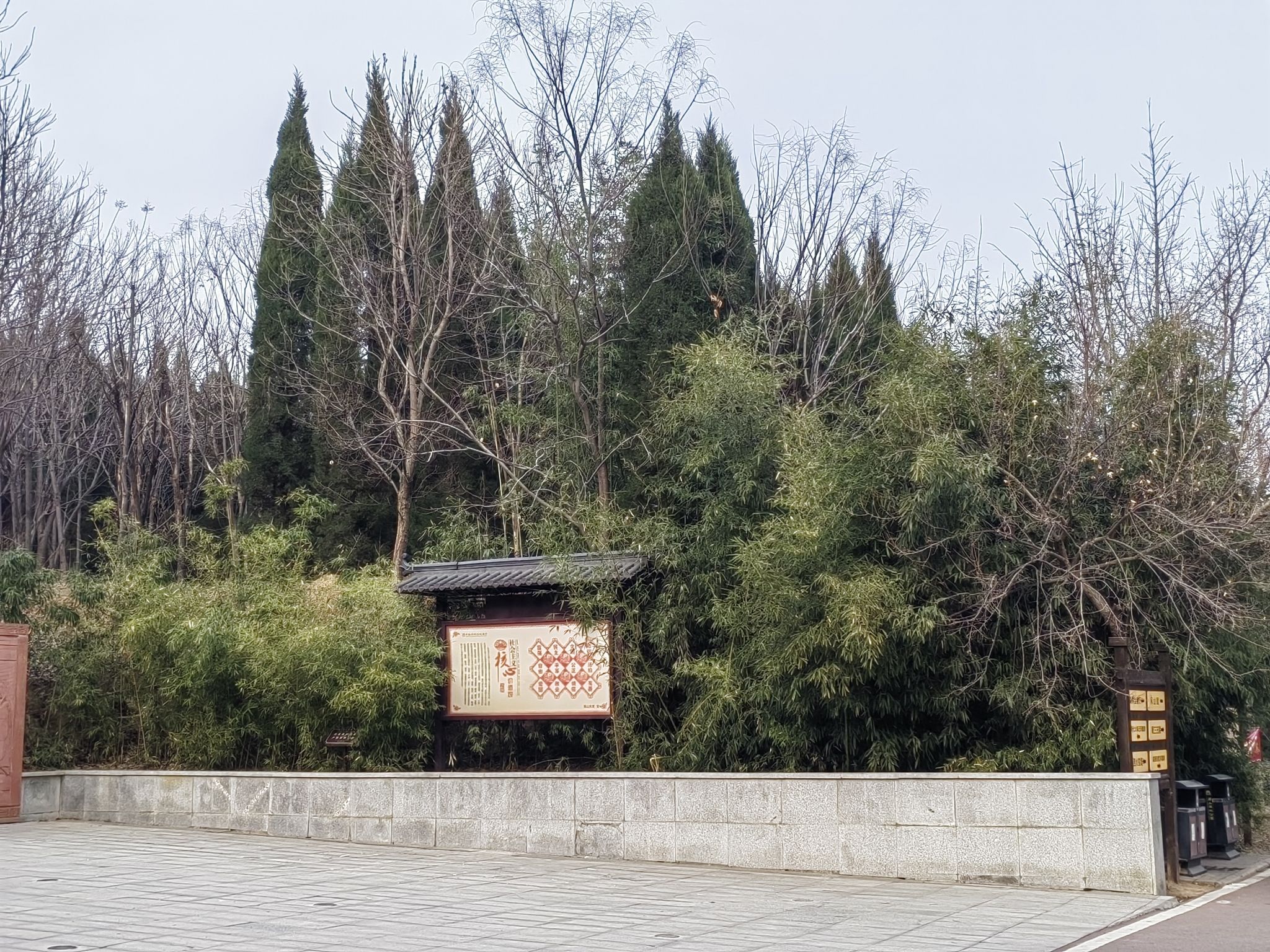 周山森林公园旅行图片 1