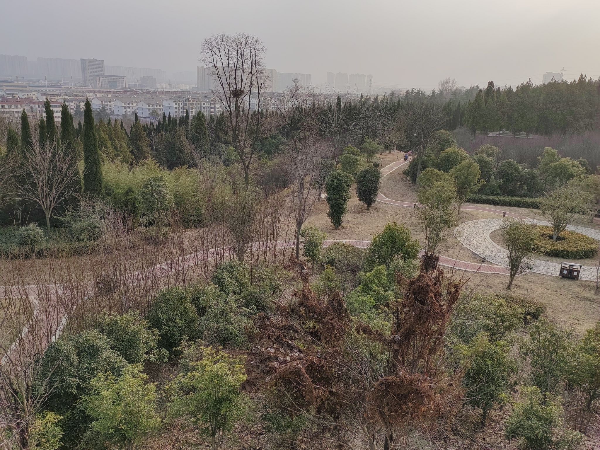 周山森林公园旅行图片 3
