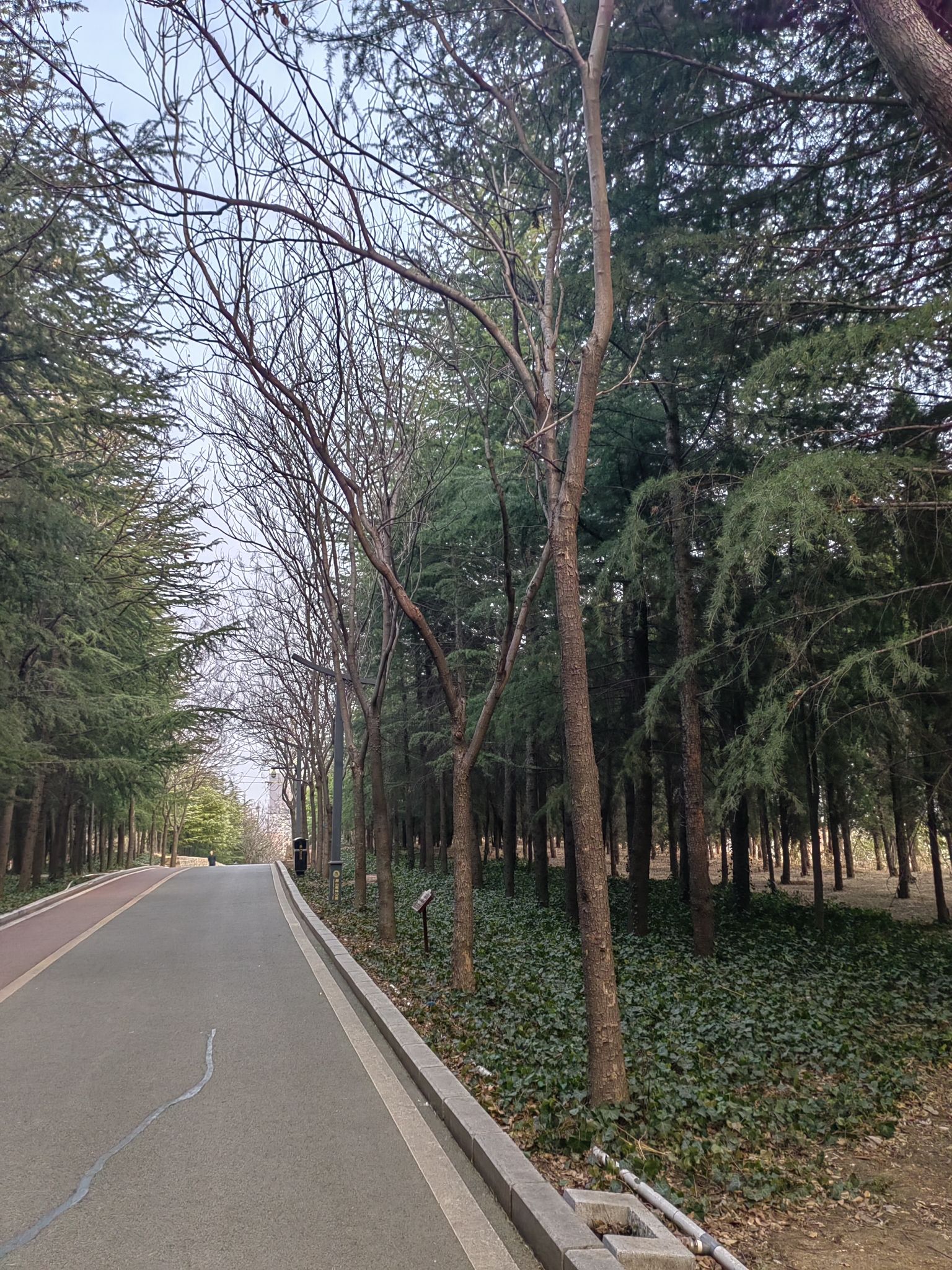 周山森林公园旅行图片 2
