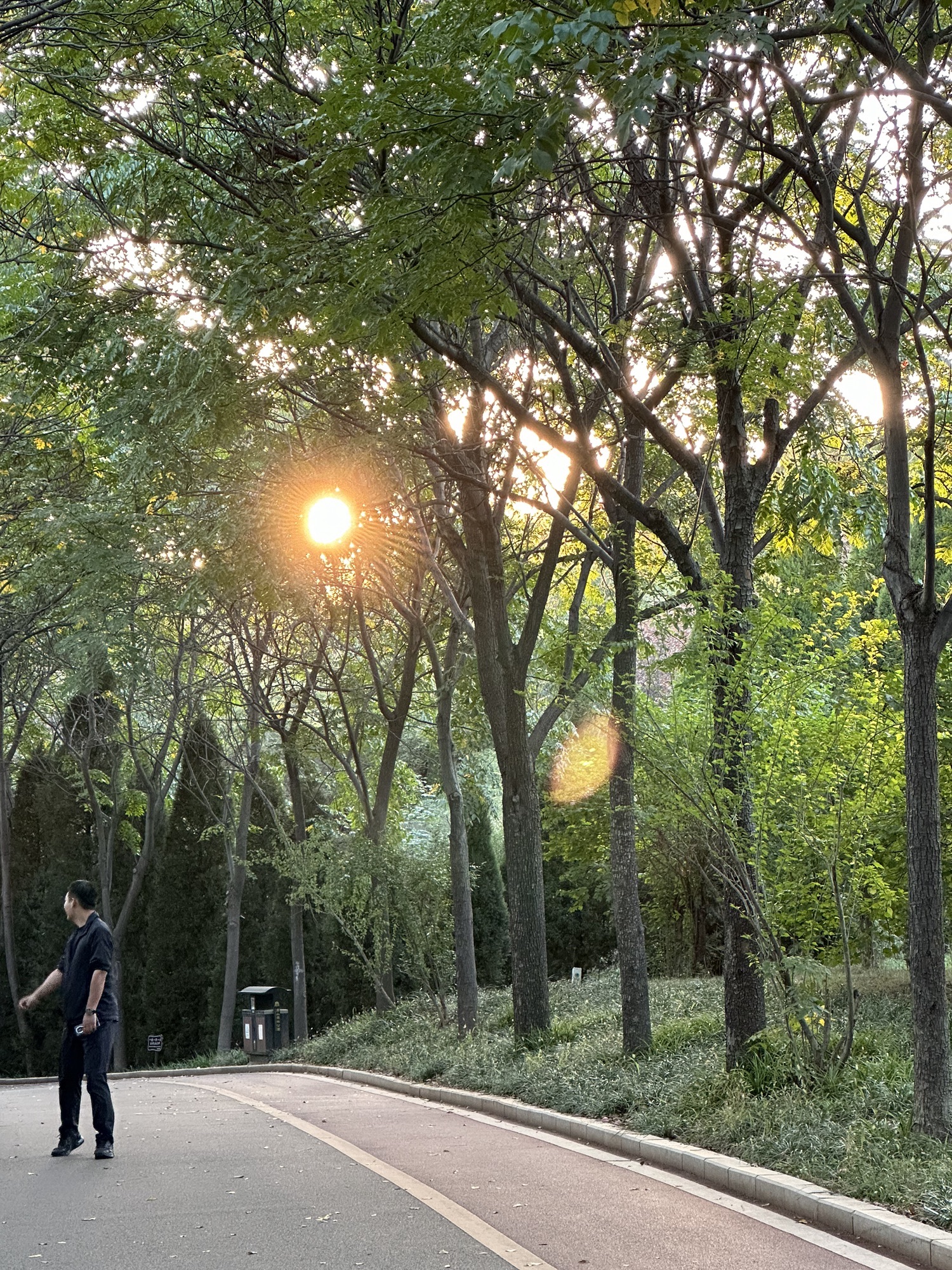 周山森林公园旅行图片 1