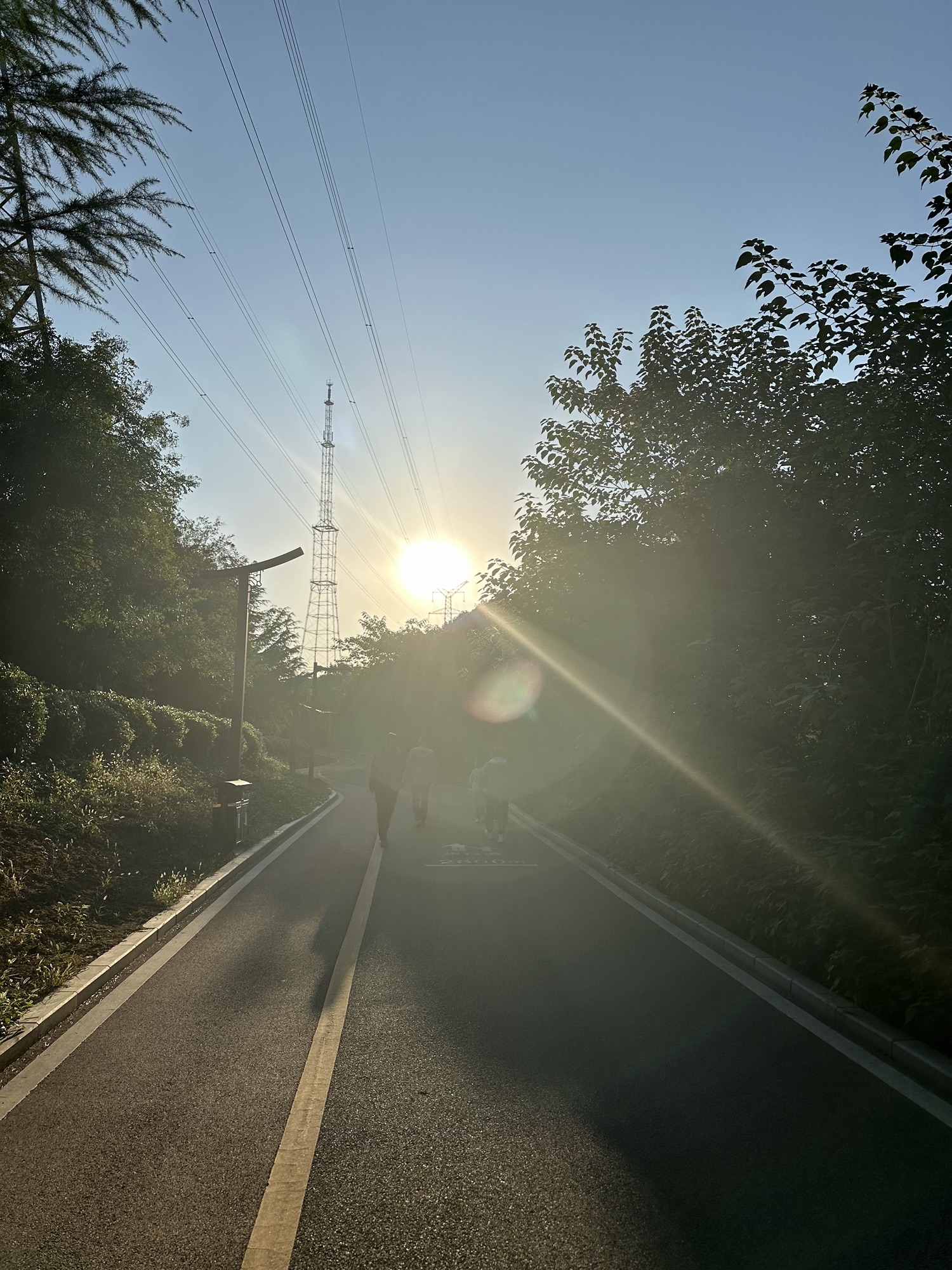 周山森林公园旅行图片 2