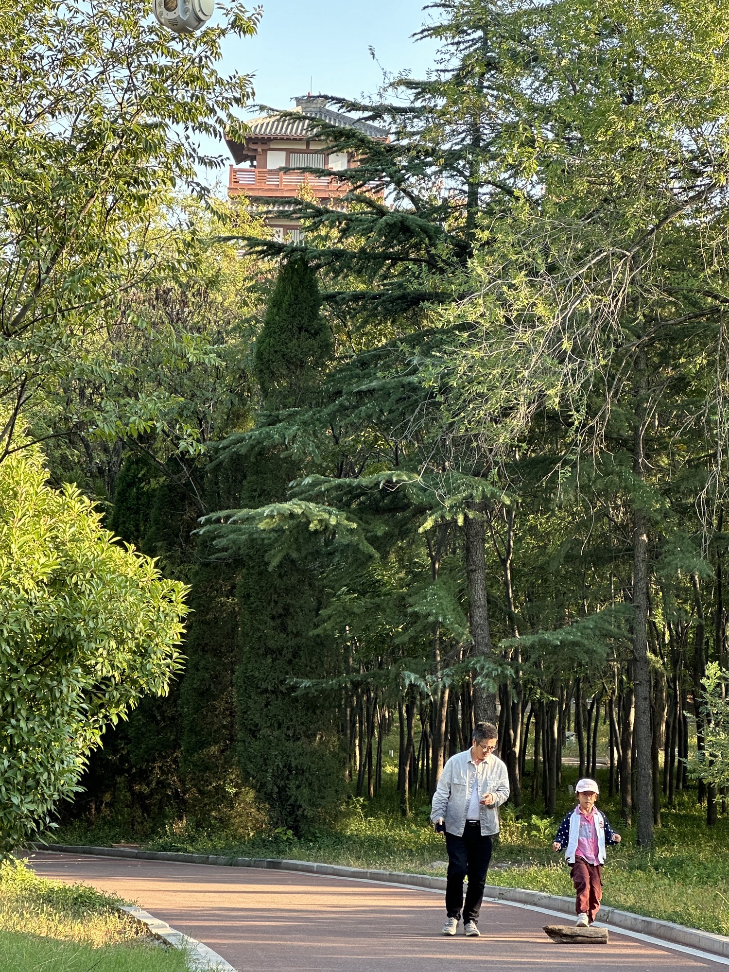 周山森林公园旅行图片 3