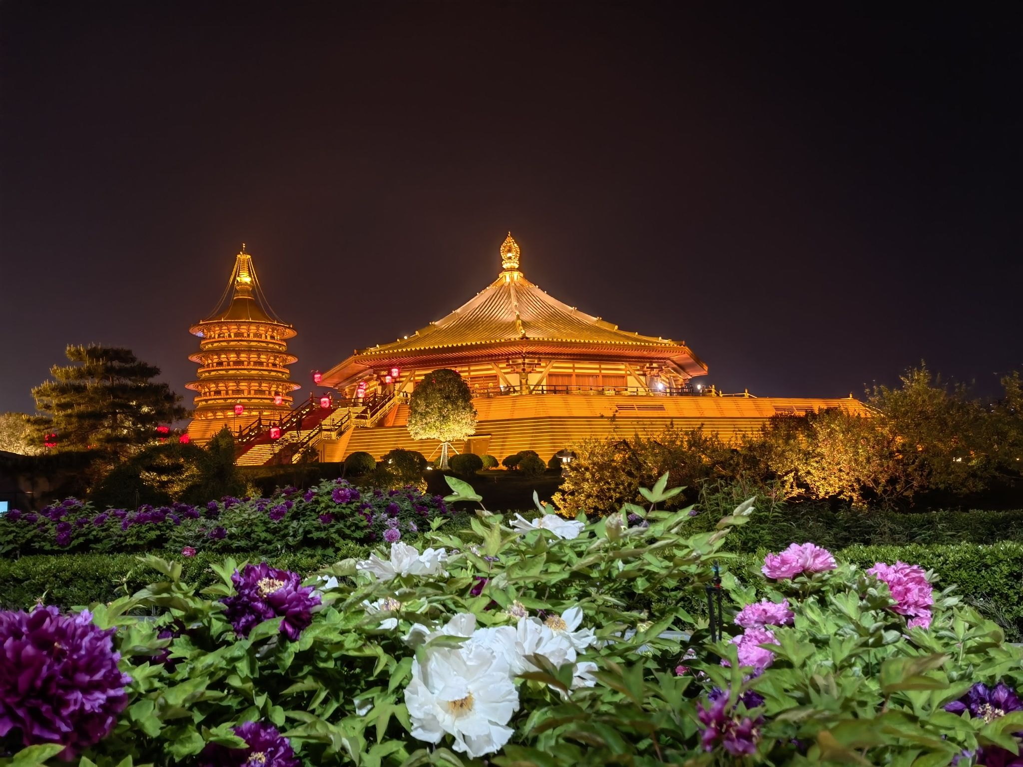 隋唐洛阳城国家遗址公园旅行图片 3