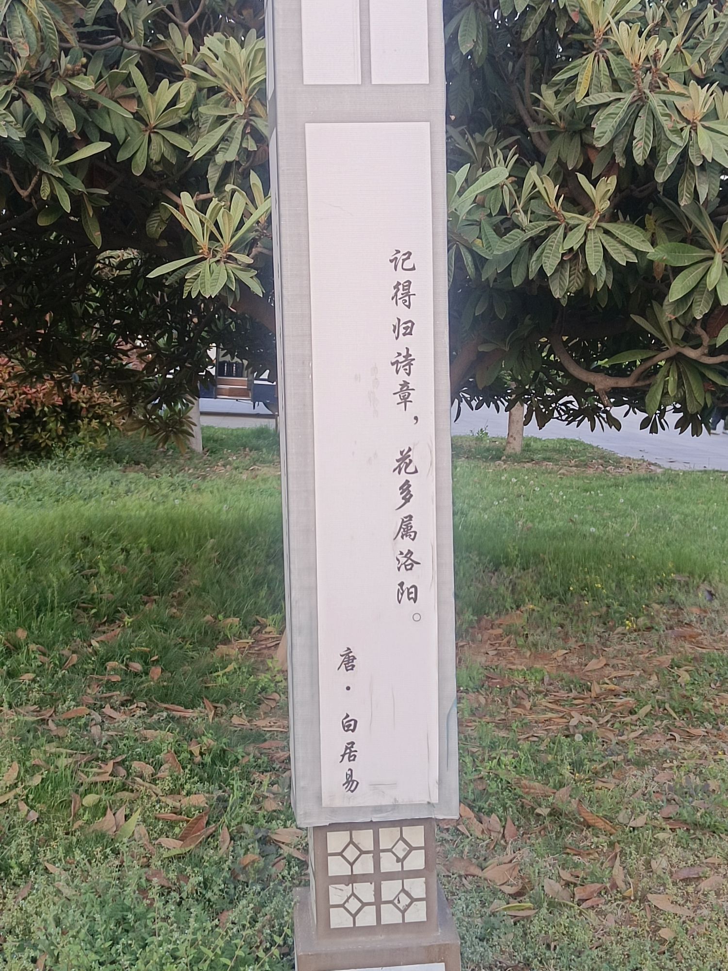 洛阳天香牡丹园旅行图片 3