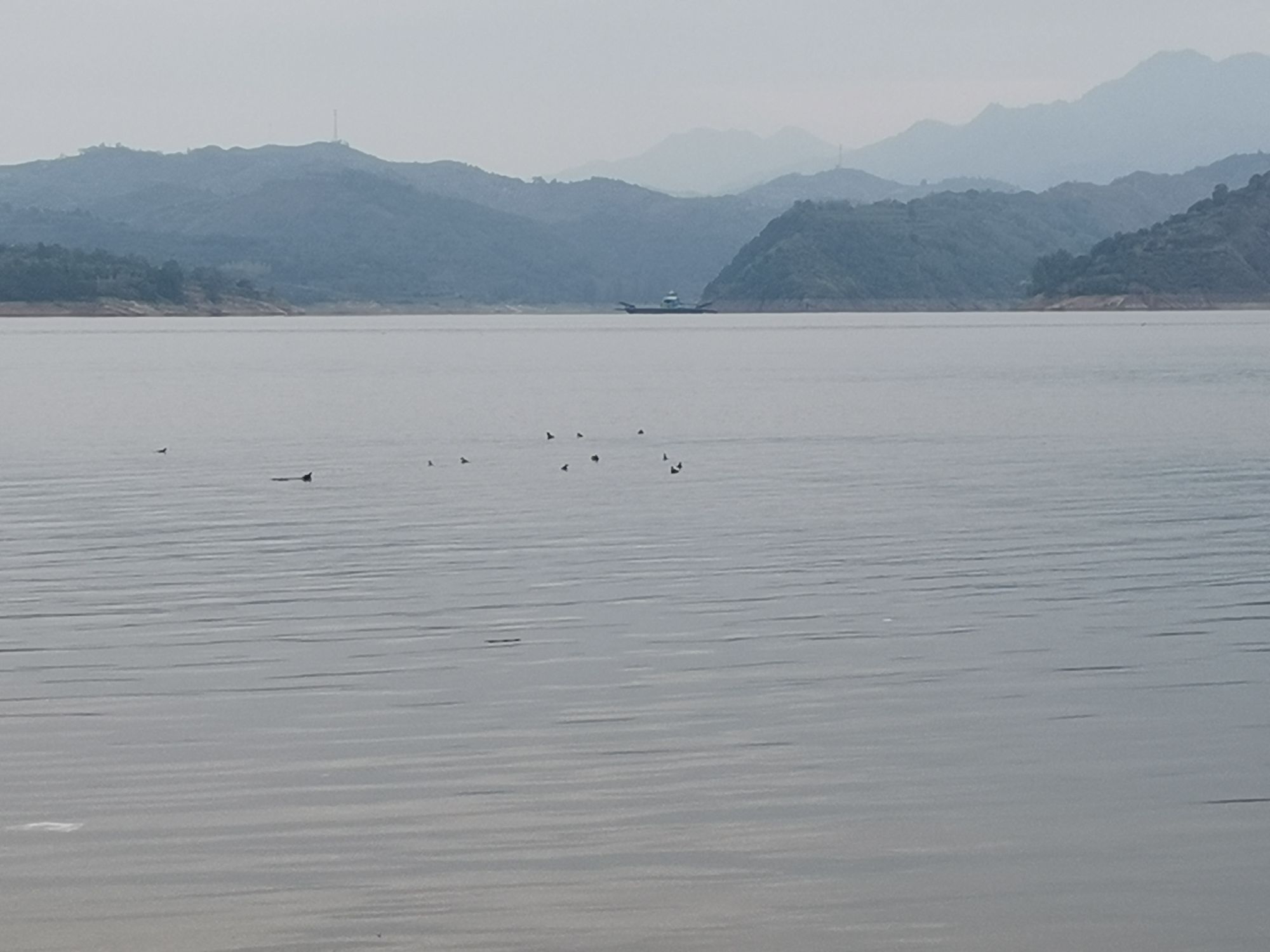 故县西子湖风景区旅行图片 2