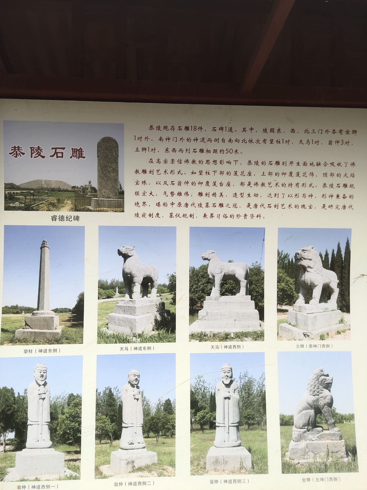 唐恭陵旅行图片 2
