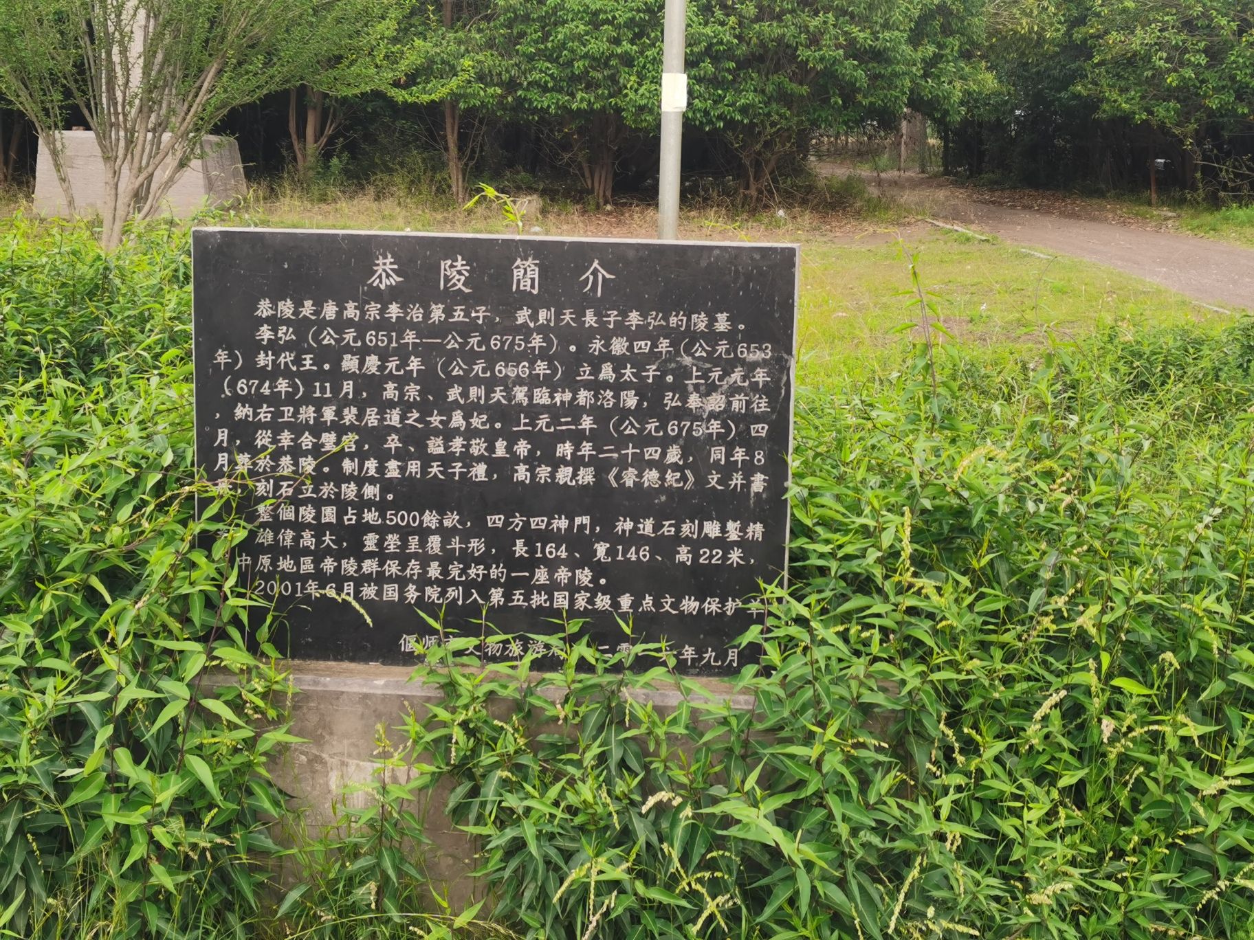 唐恭陵旅行图片 2