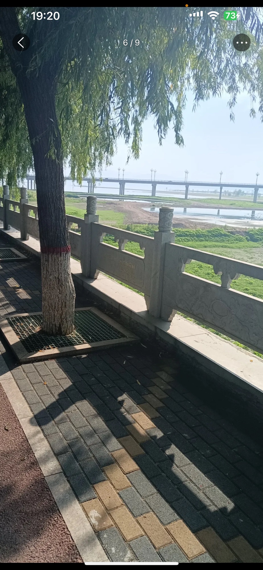 嵩州公园旅行图片 2