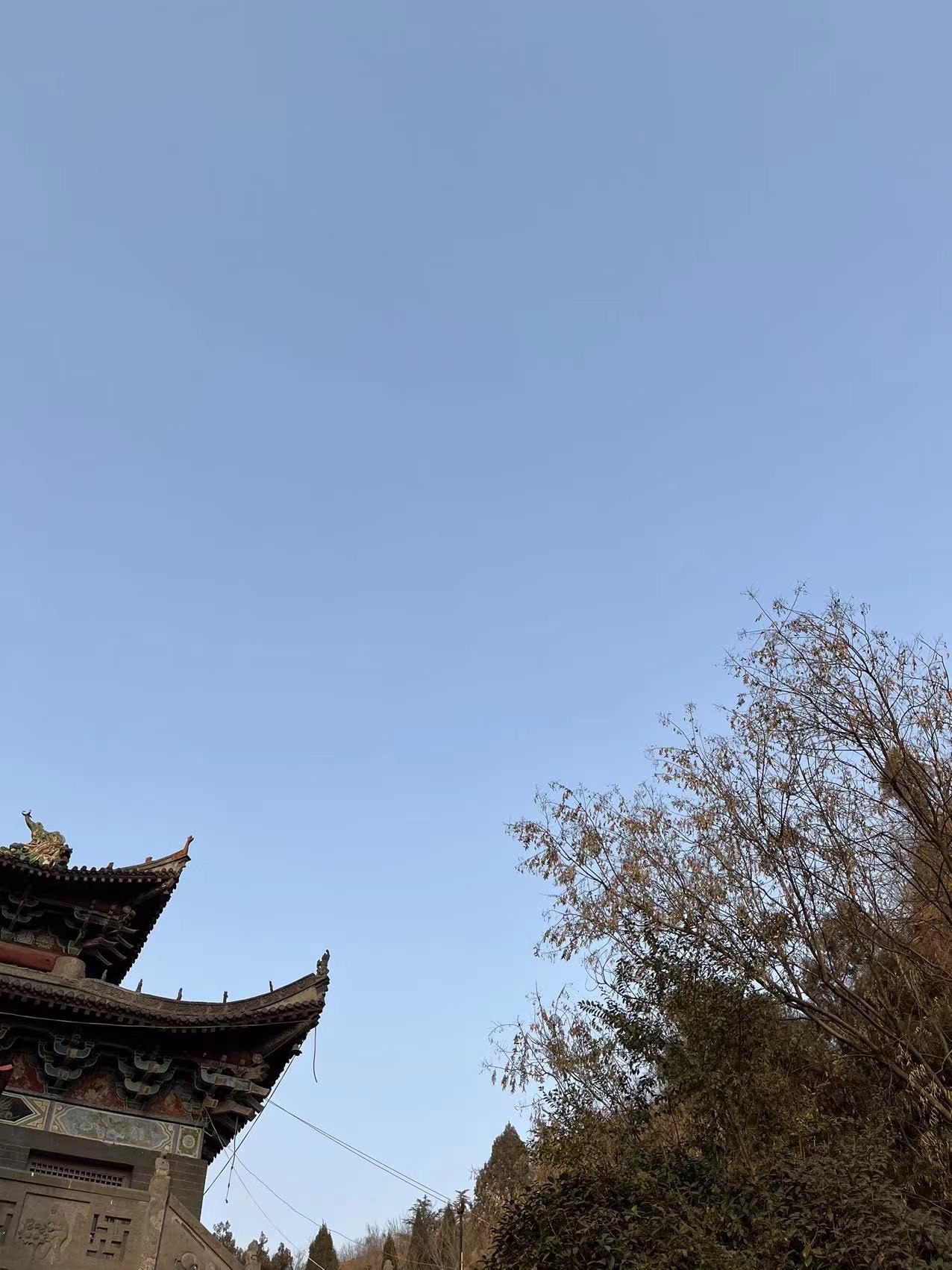 金龙谷旅行图片 3